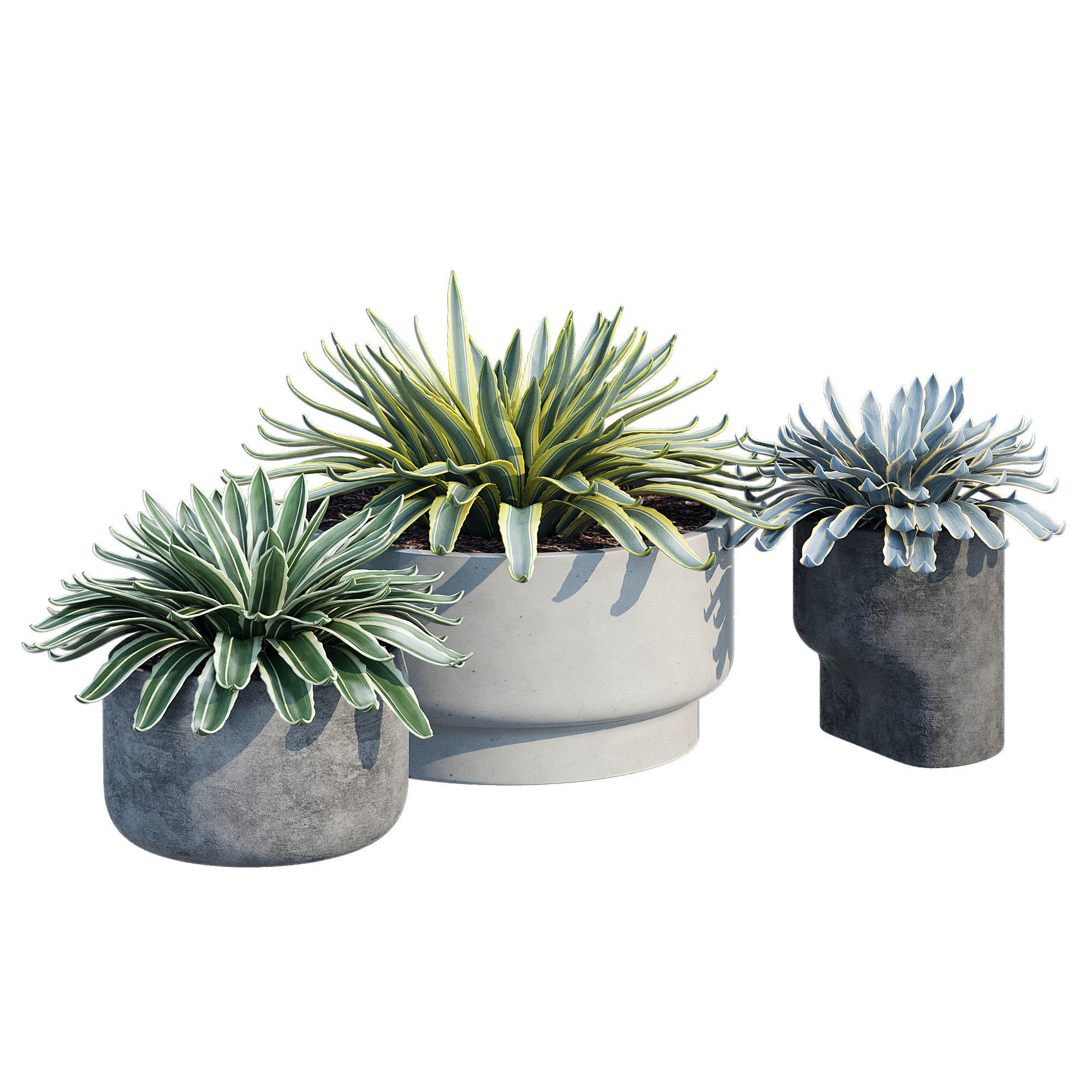 planter set 2 three concrete pots with succulents 3D model_3