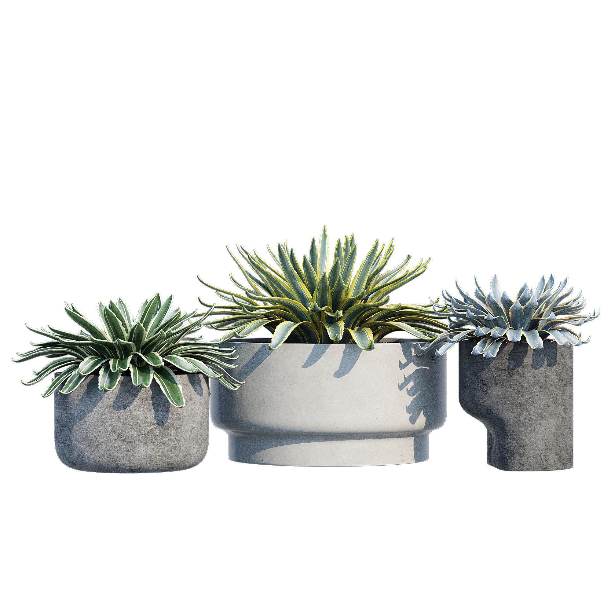 planter set 2 three concrete pots with succulents 3D model_1