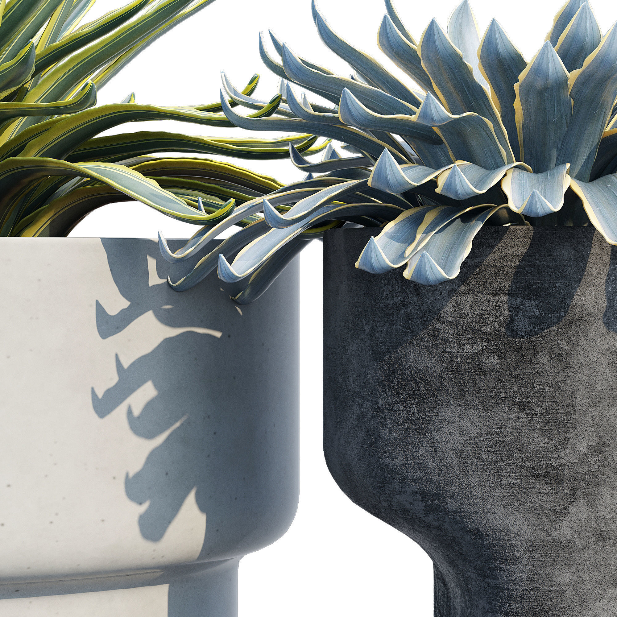 planter set 2 three concrete pots with succulents 3D model_6