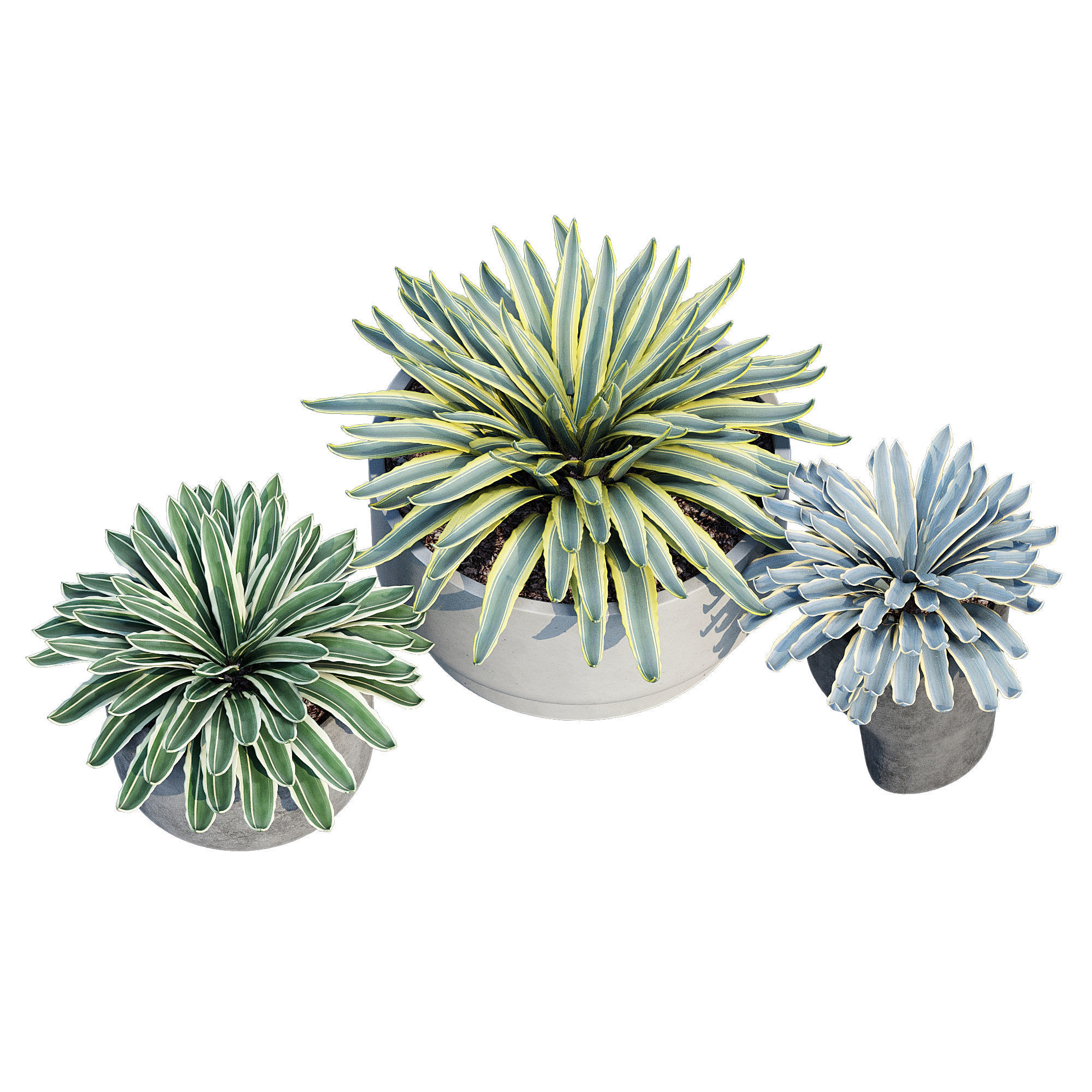 planter set 2 three concrete pots with succulents 3D model_2