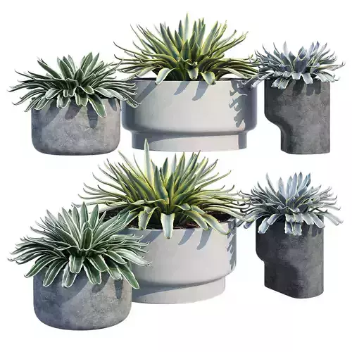 planter set 2 three concrete pots with succulents
