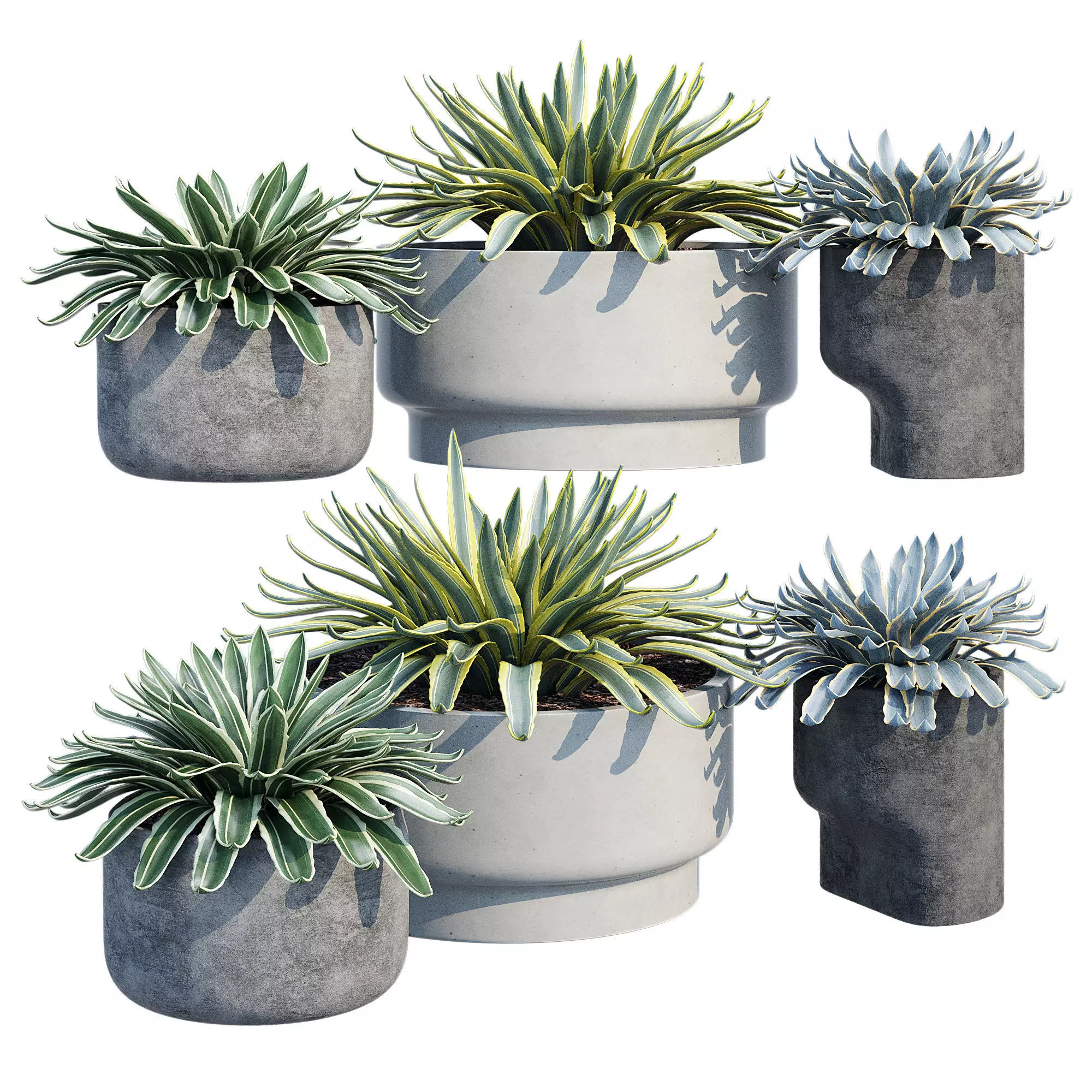 planter set 2 three concrete pots with succulents 3D model_0