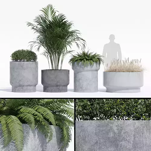 planter set 4 four potted plants