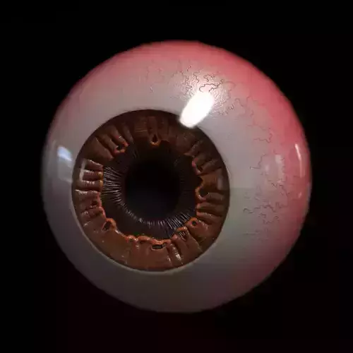 Eye PBR game ready human