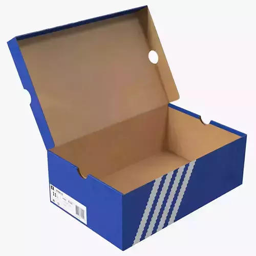 Blue Carton Shoe Box Open