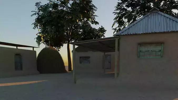 Village House 3D model