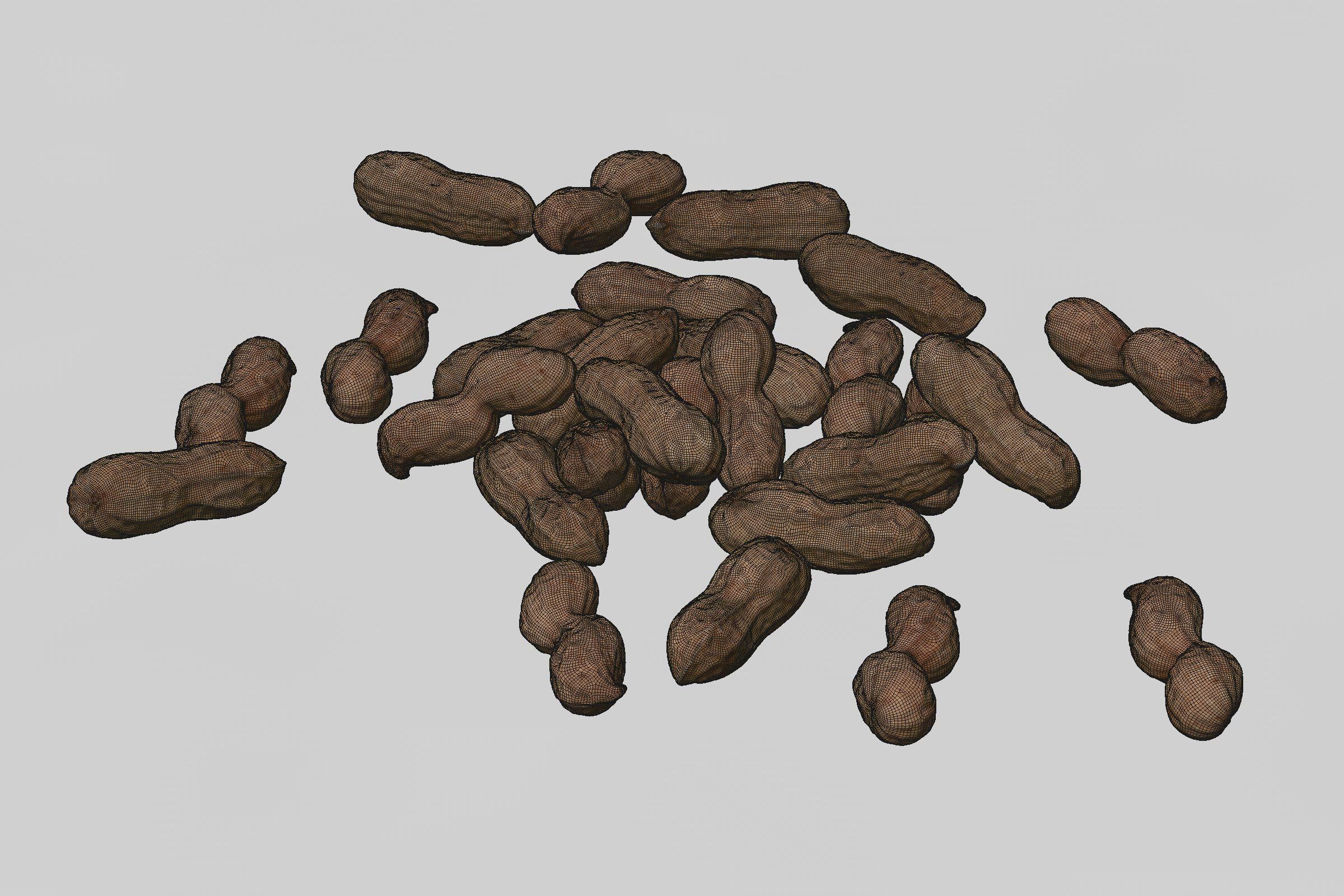 polypasta - peanut 01 and 02 3D model_1