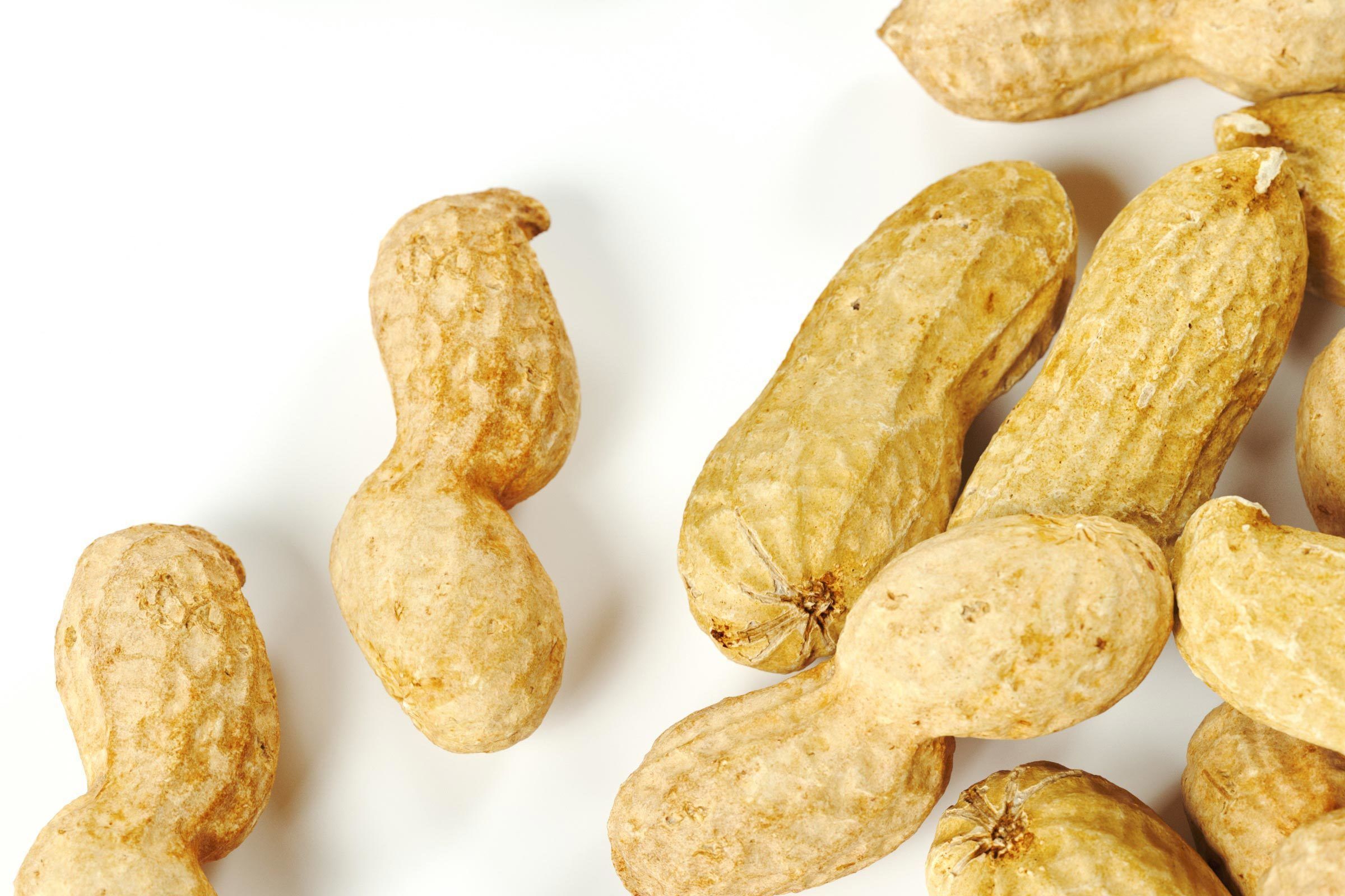 polypasta - peanut 01 and 02 3D model_3