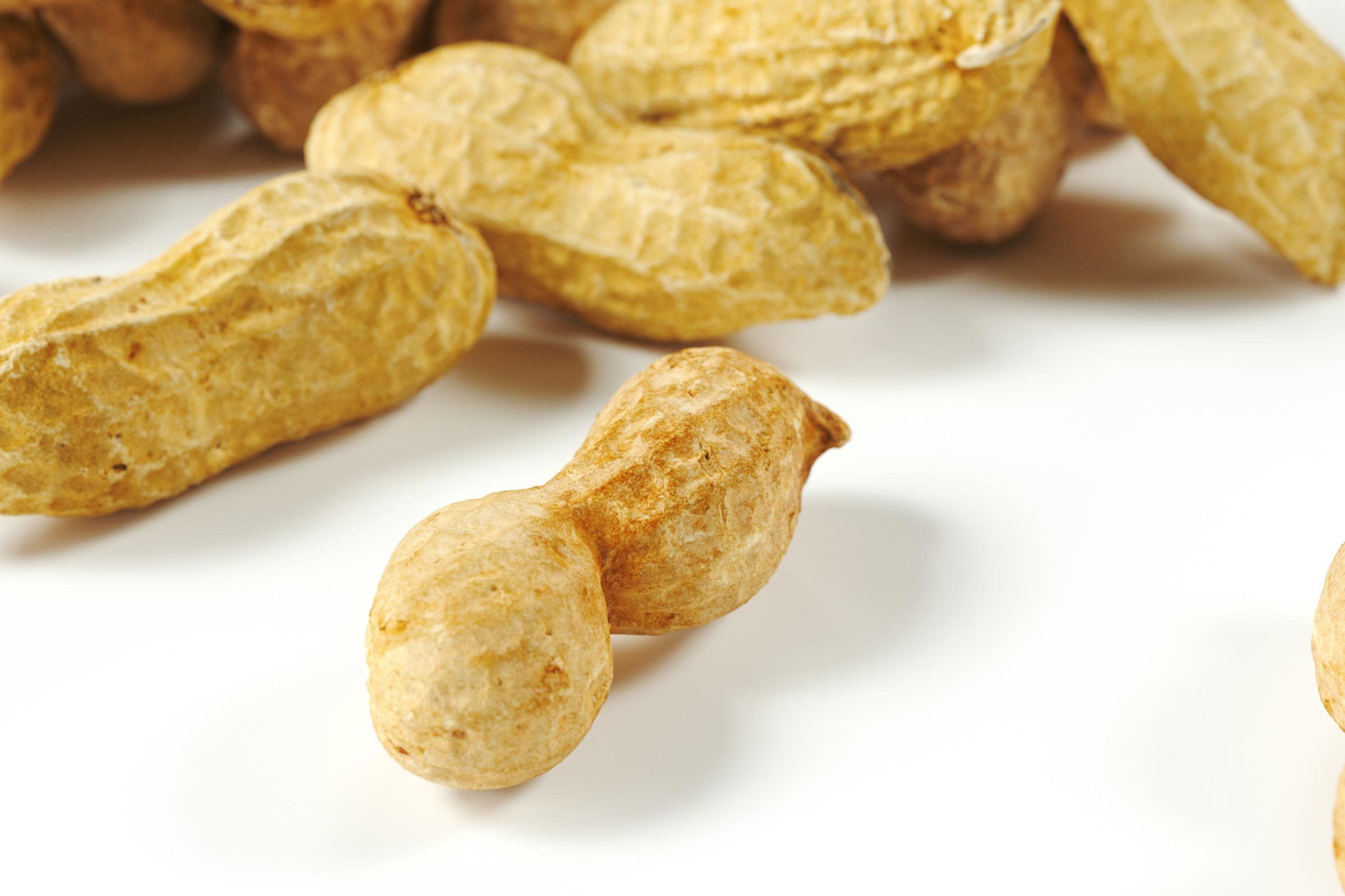 polypasta - peanut 01 and 02 3D model_5