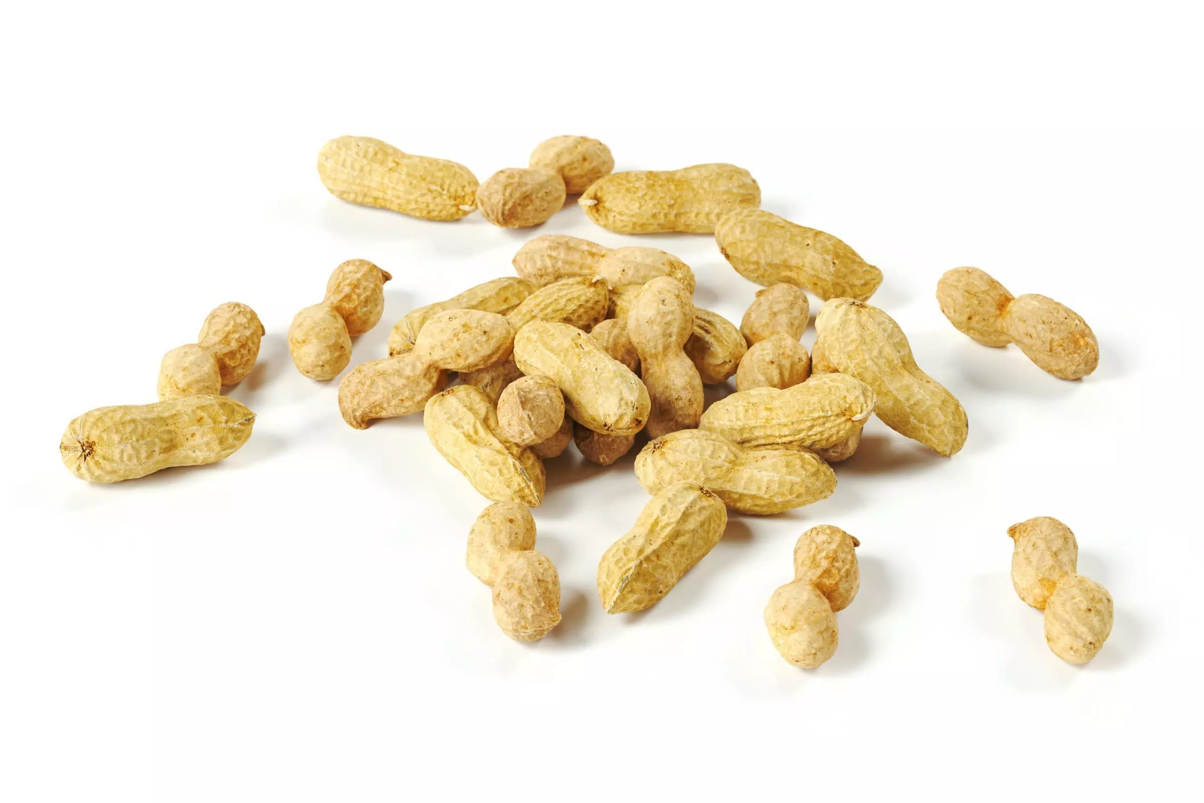 polypasta - peanut 01 and 02 3D model_0