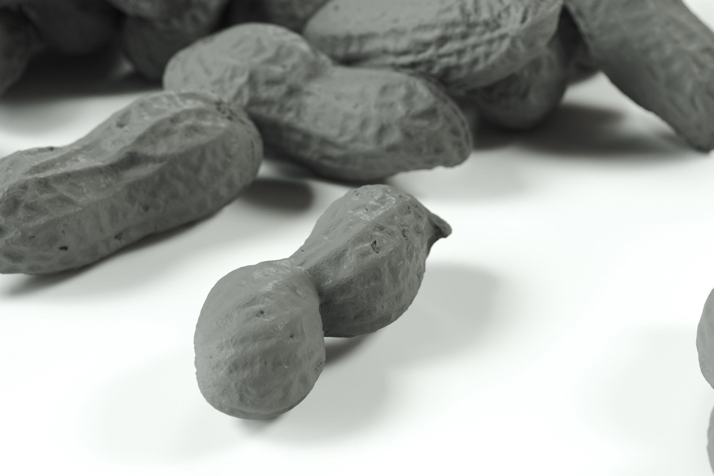 polypasta - peanut 01 and 02 3D model_4