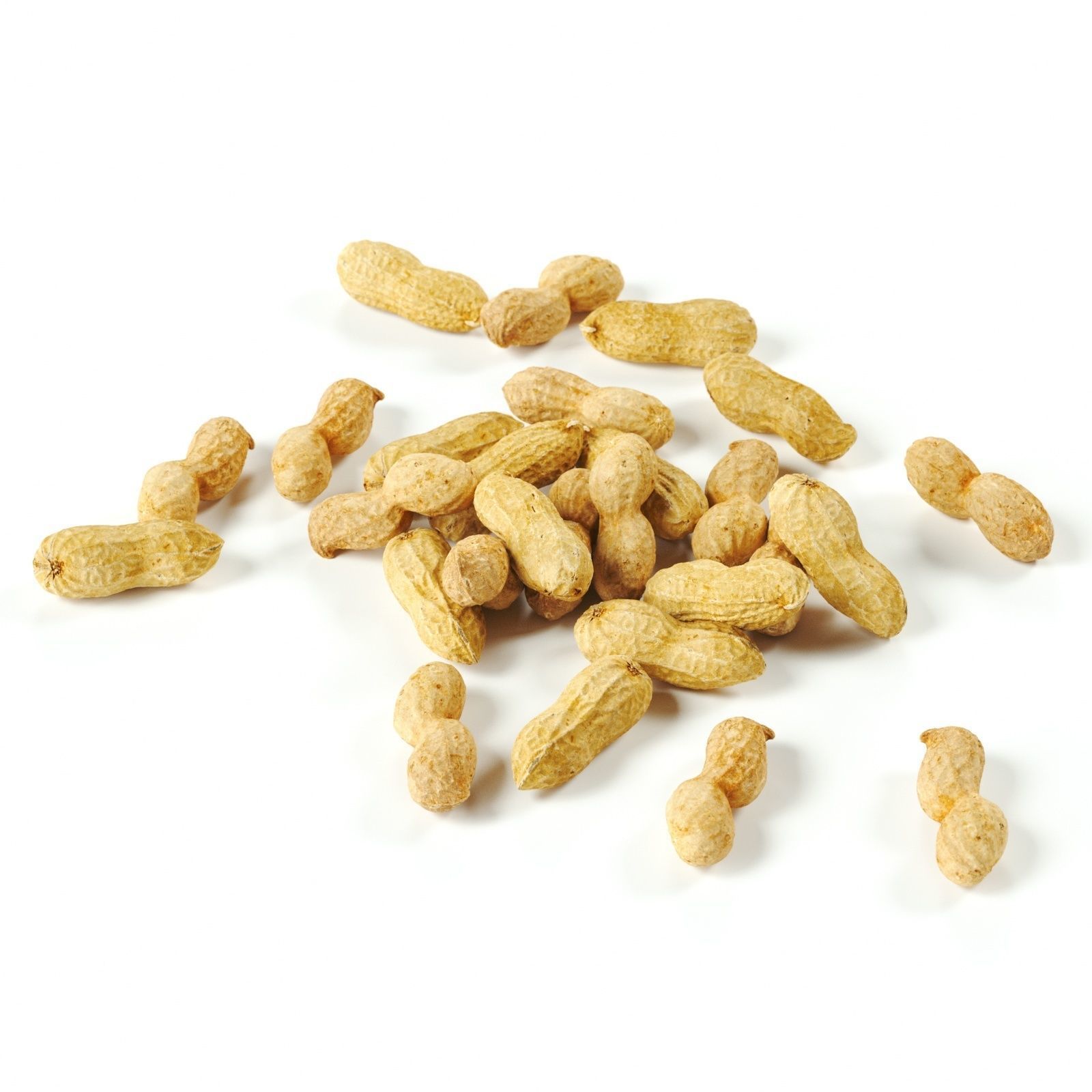 polypasta - peanut 01 and 02 3D model_6