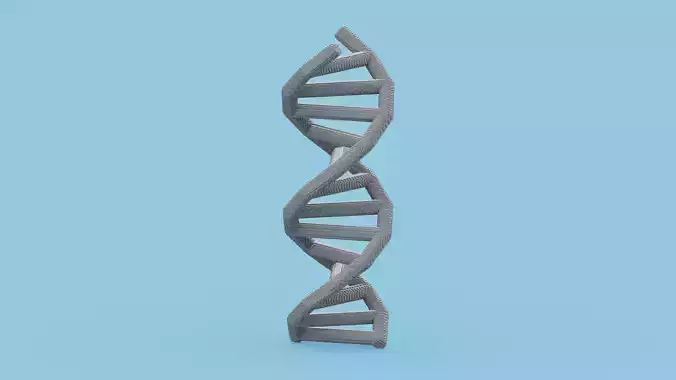 DNA Voxel