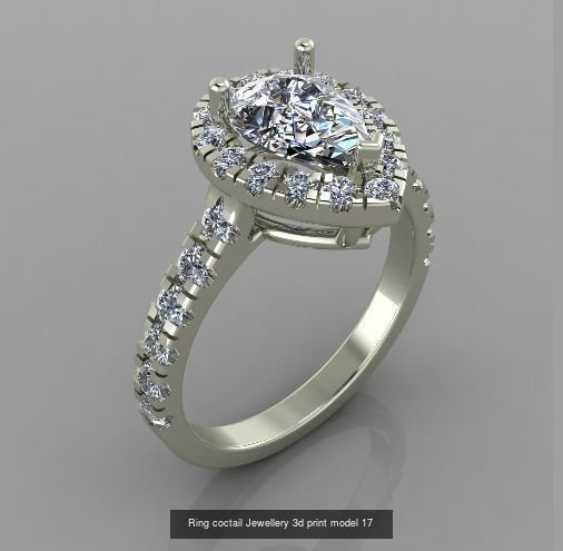 100 Ring Collection 3d print models _127