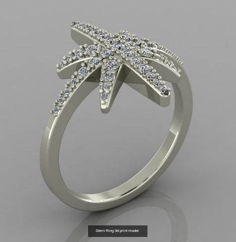 100 Ring Collection 3d print models _76