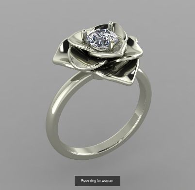 100 Ring Collection 3d print models _104