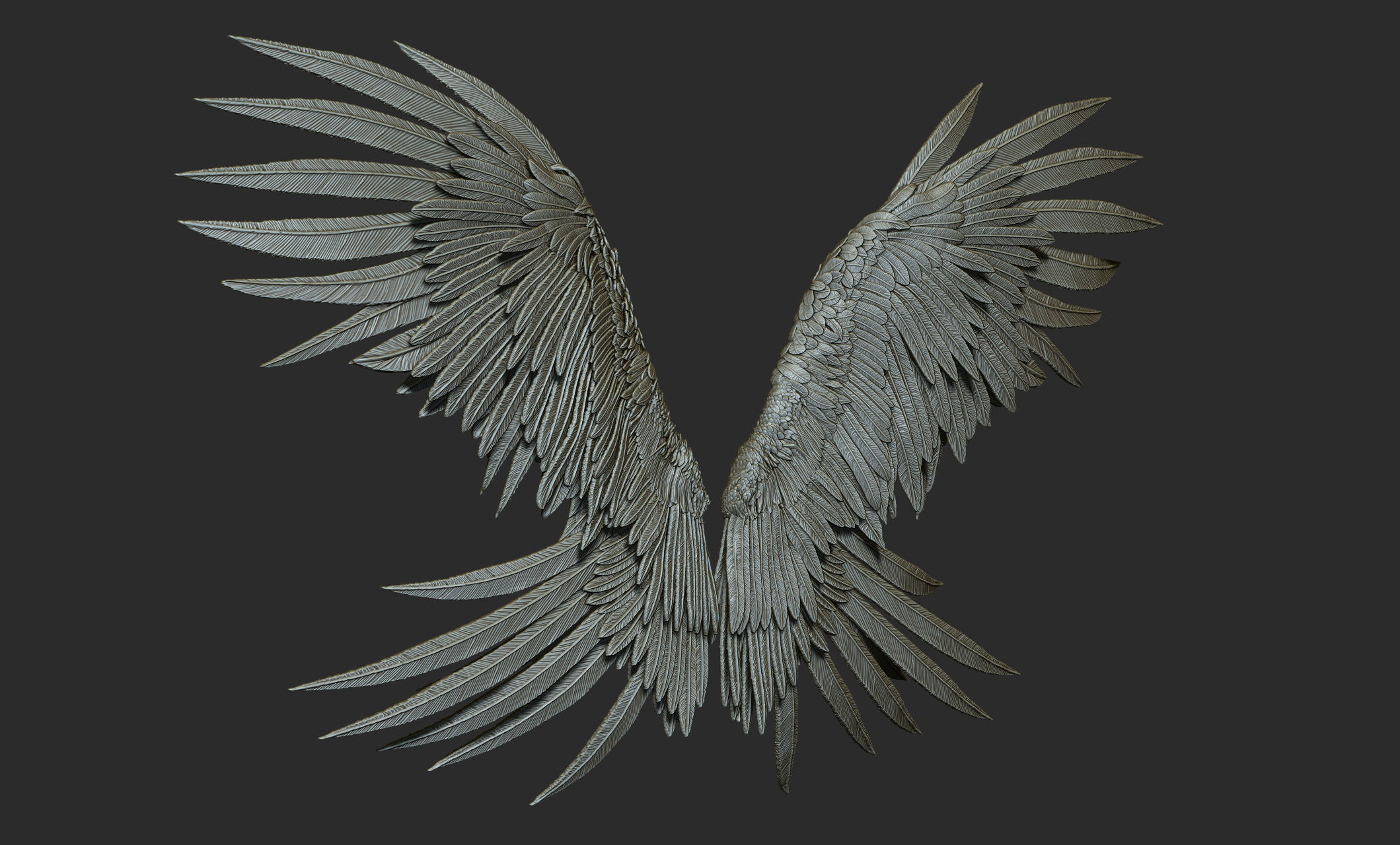 10 Wings 3D model_42