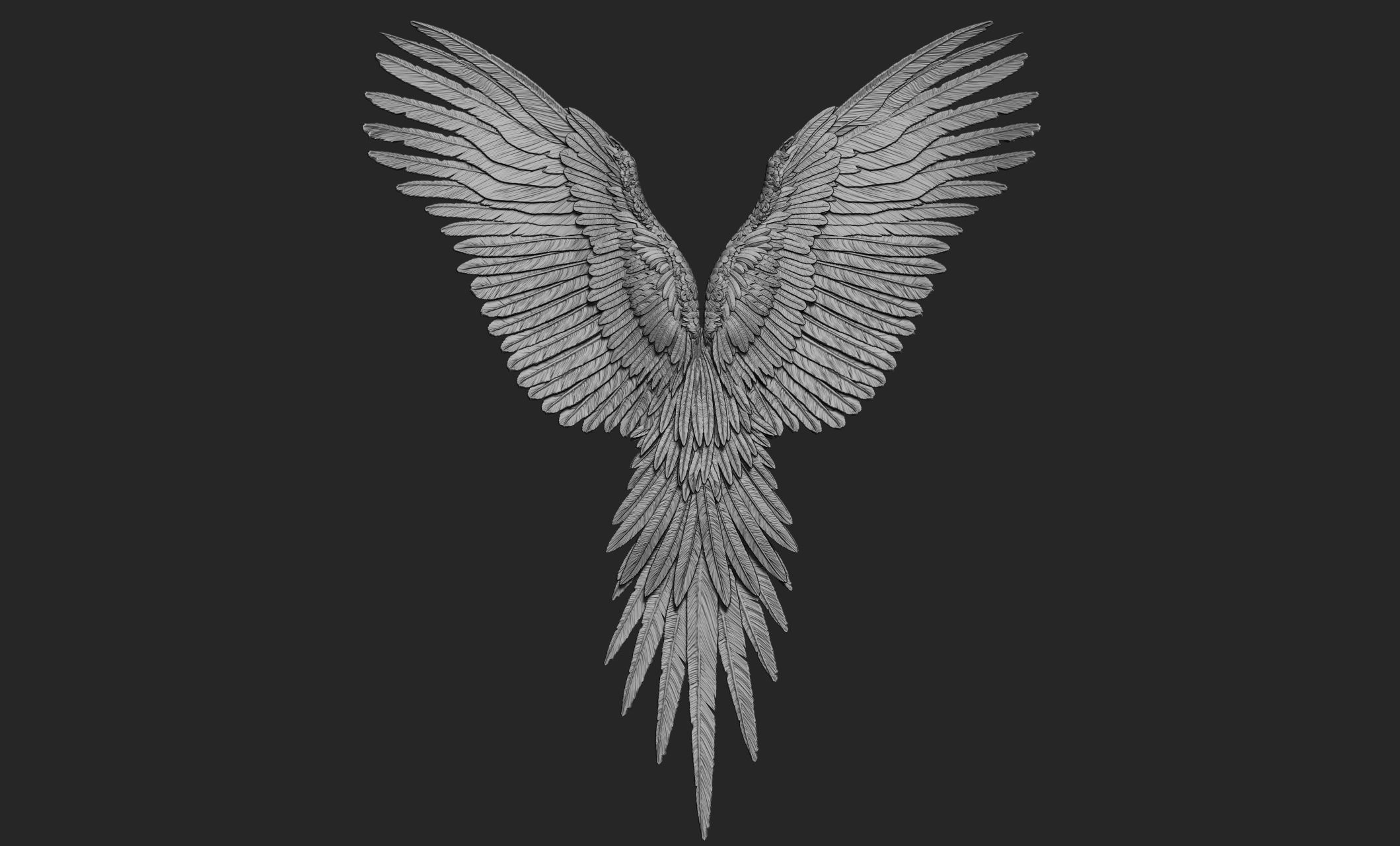 10 Wings 3D model_39