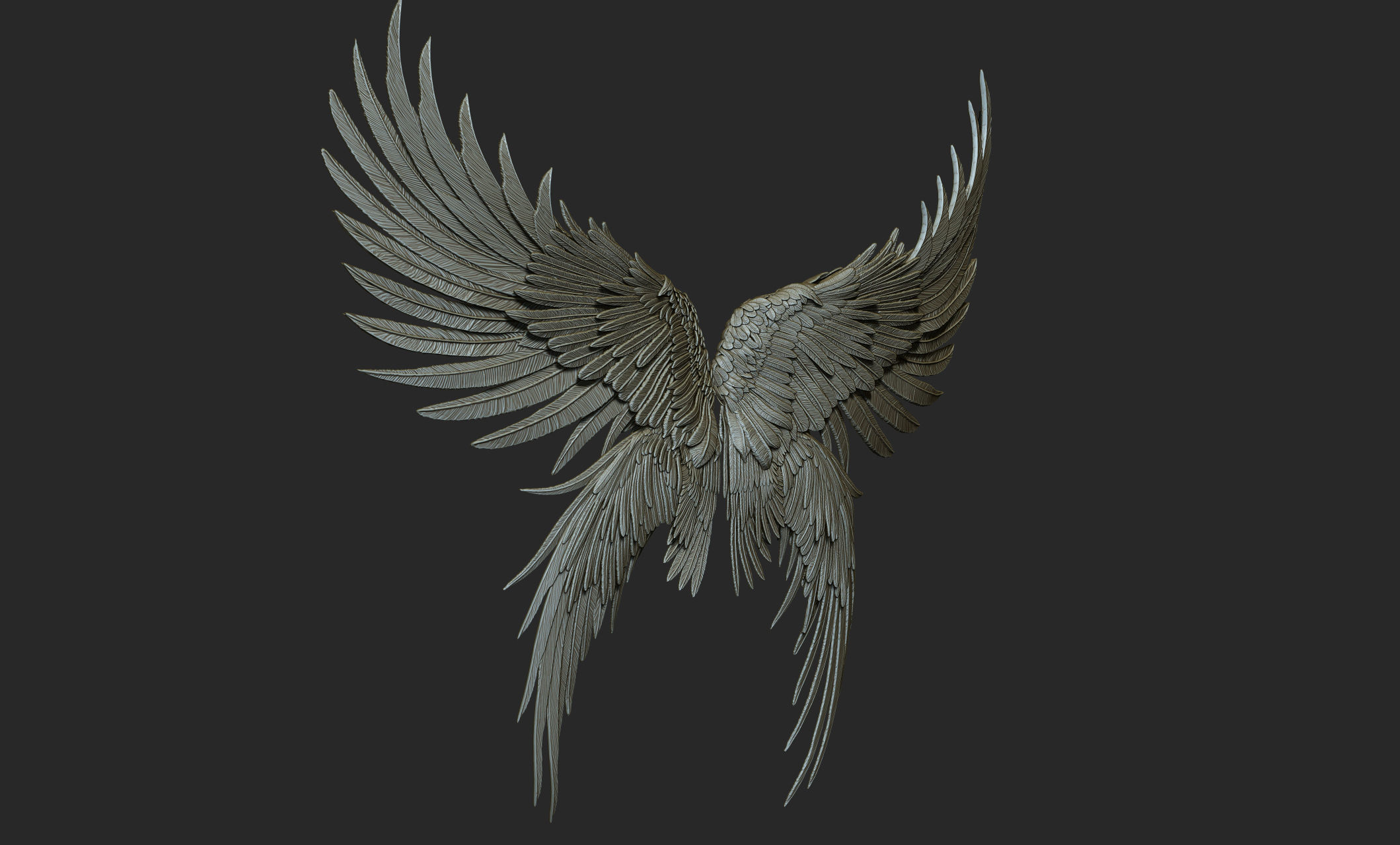 10 Wings 3D model_47