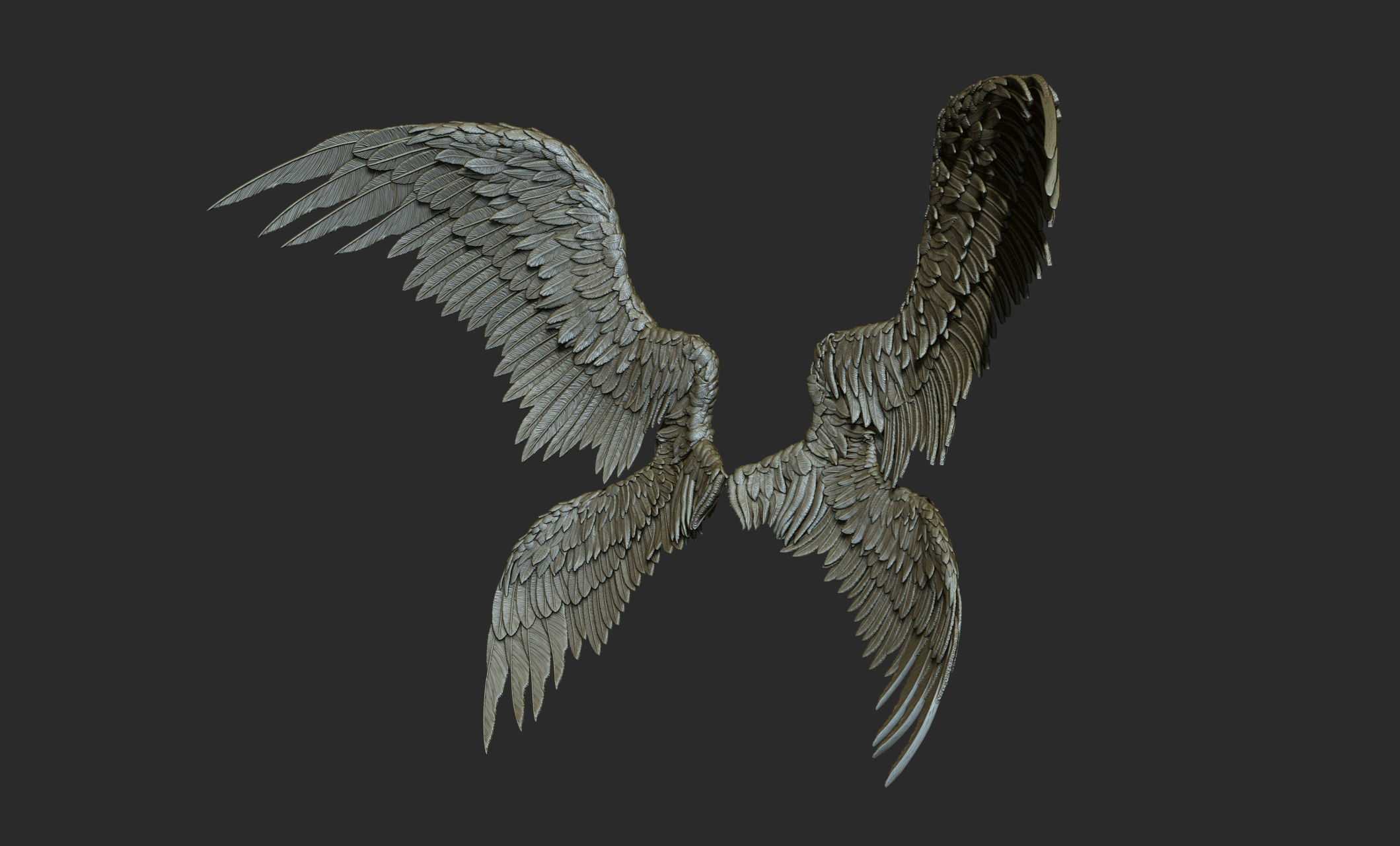 10 Wings 3D model_51