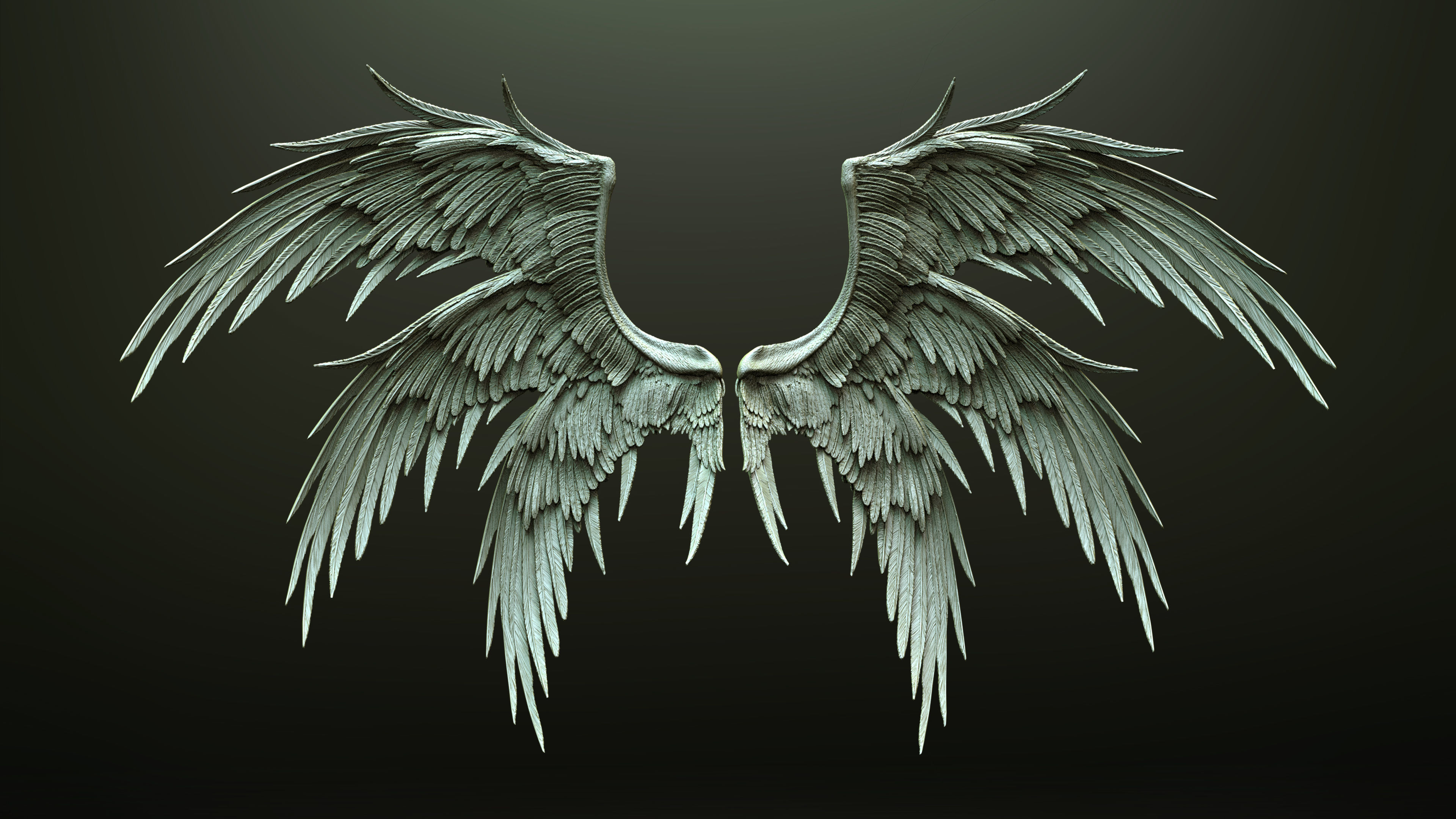 10 Wings 3D model_5