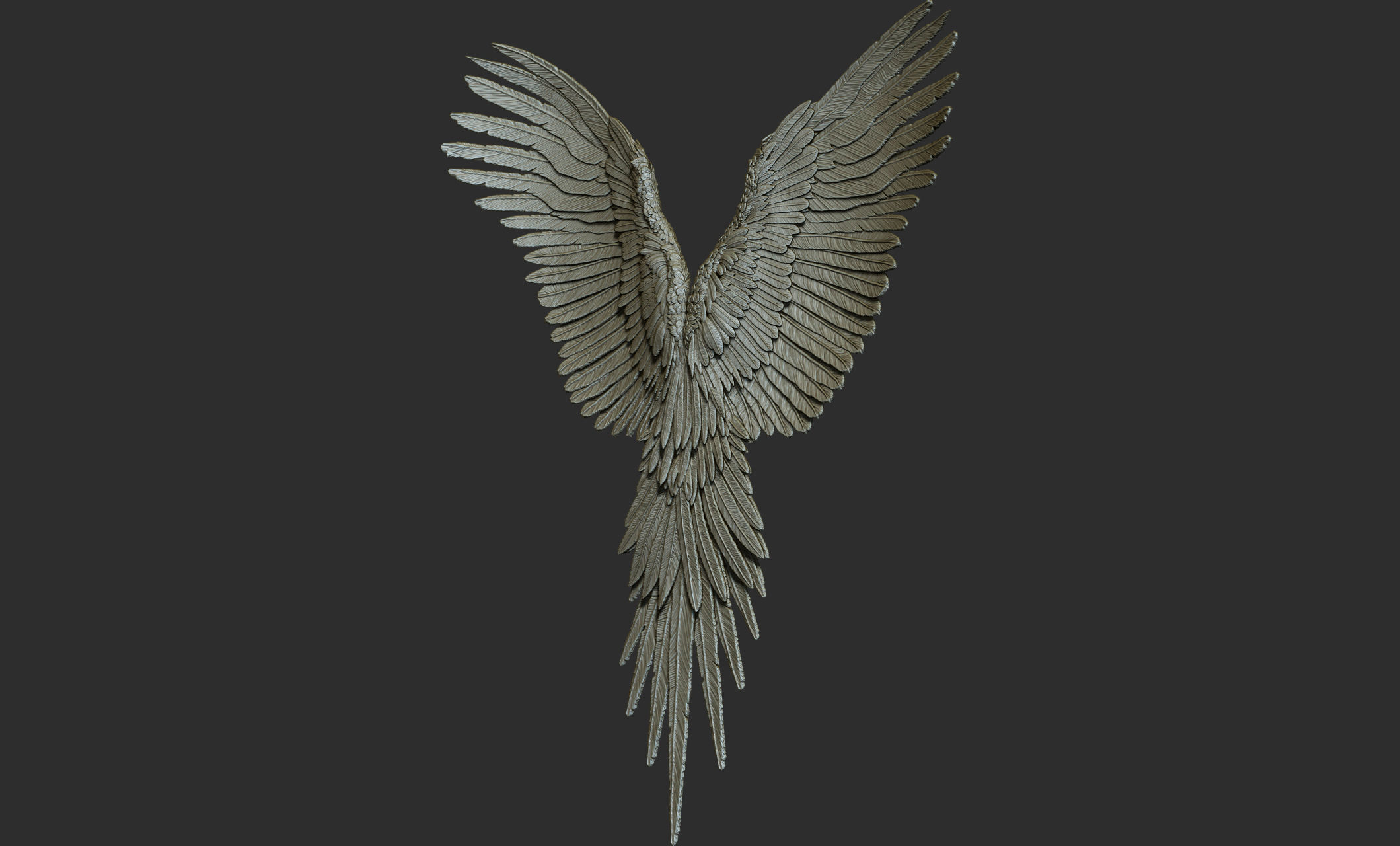 10 Wings 3D model_36