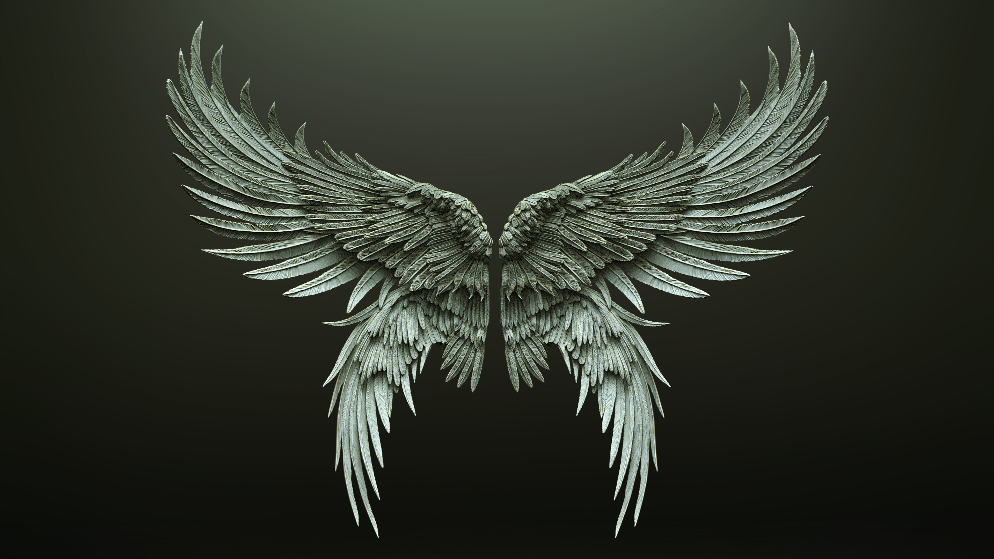 10 Wings 3D model_8