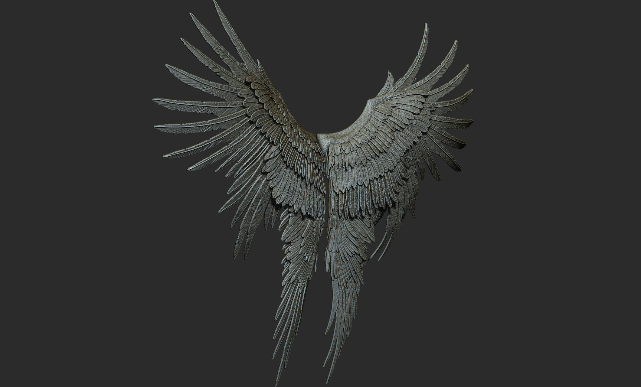 10 Wings 3D model_27