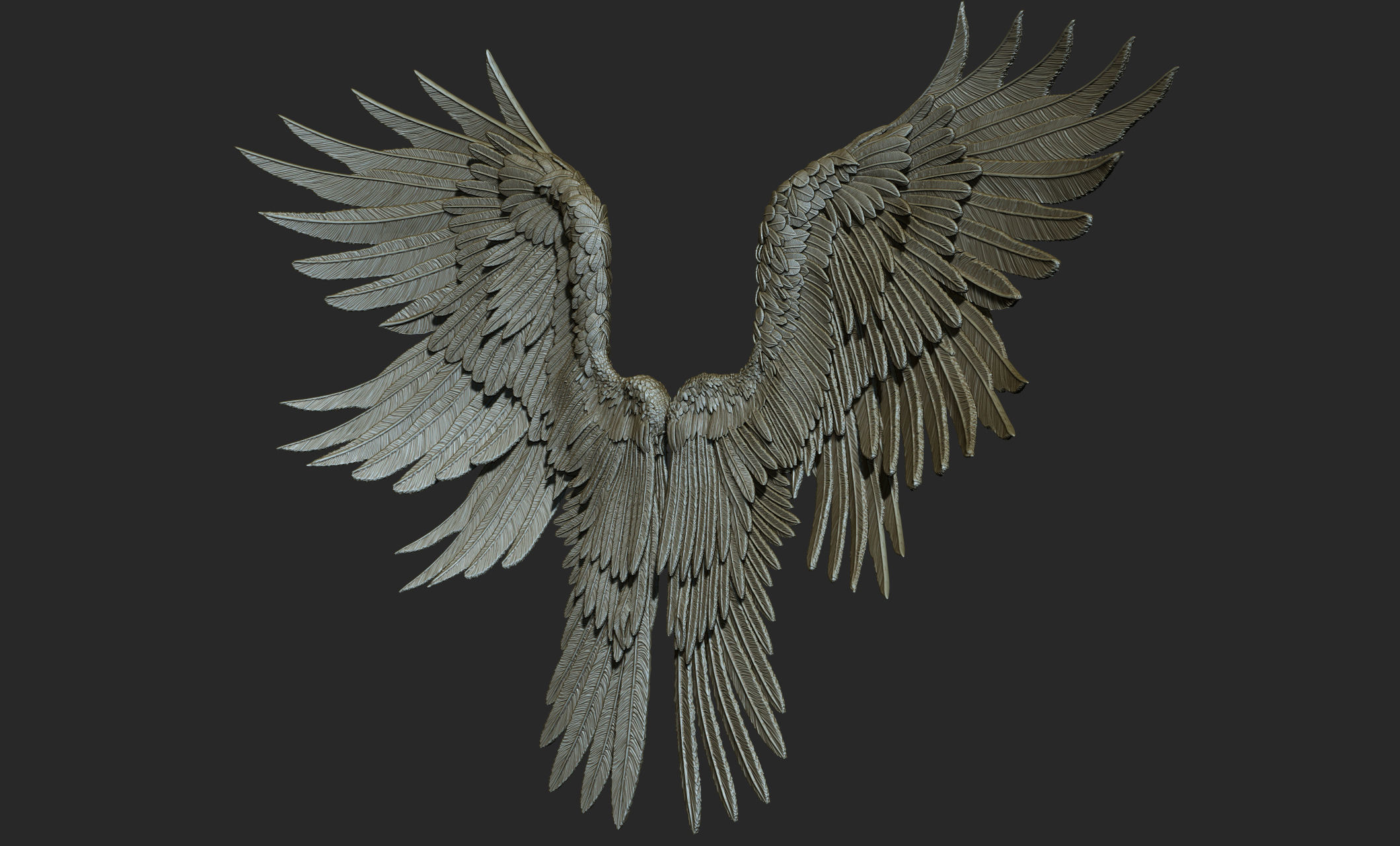10 Wings 3D model_31