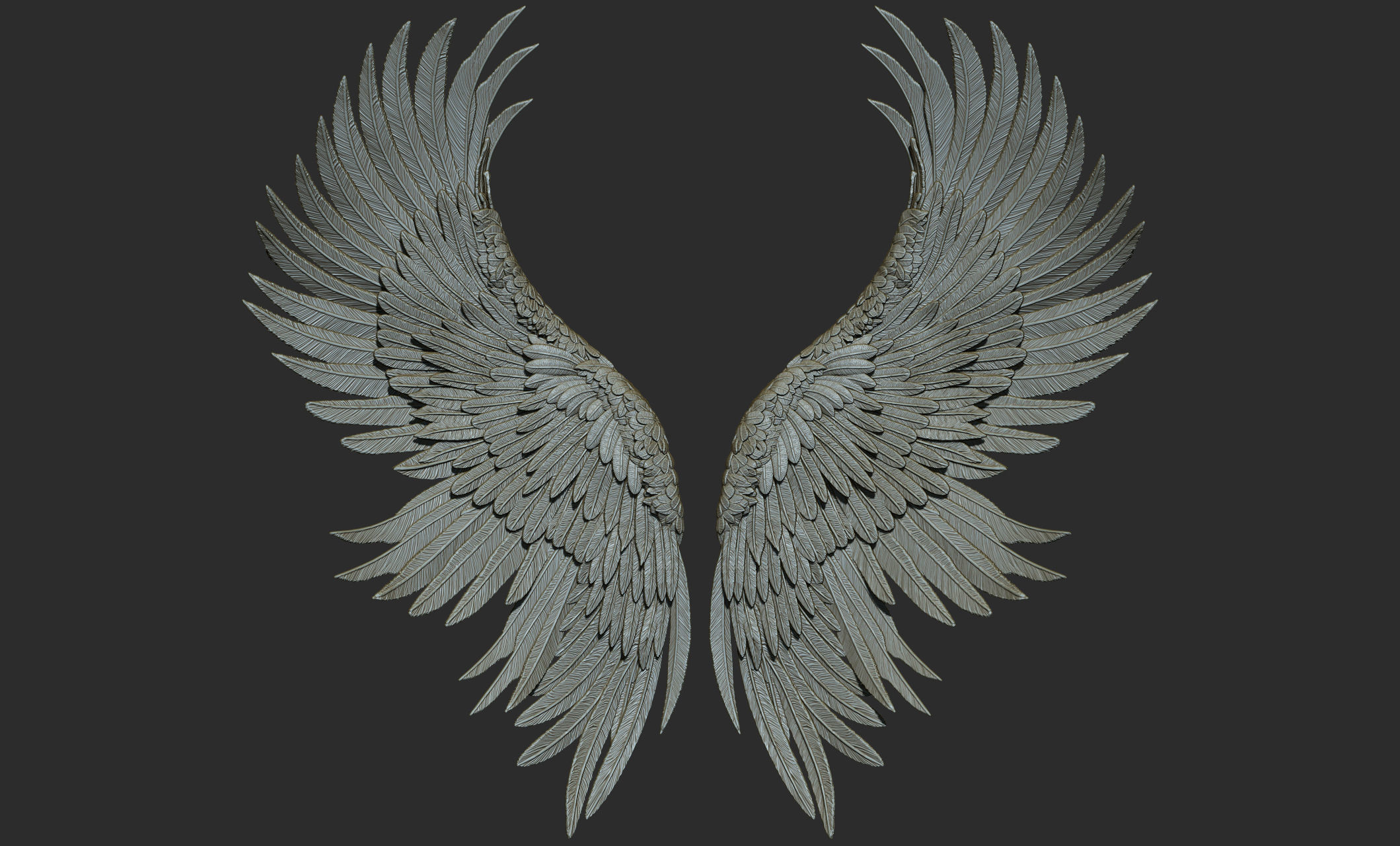 10 Wings 3D model_15