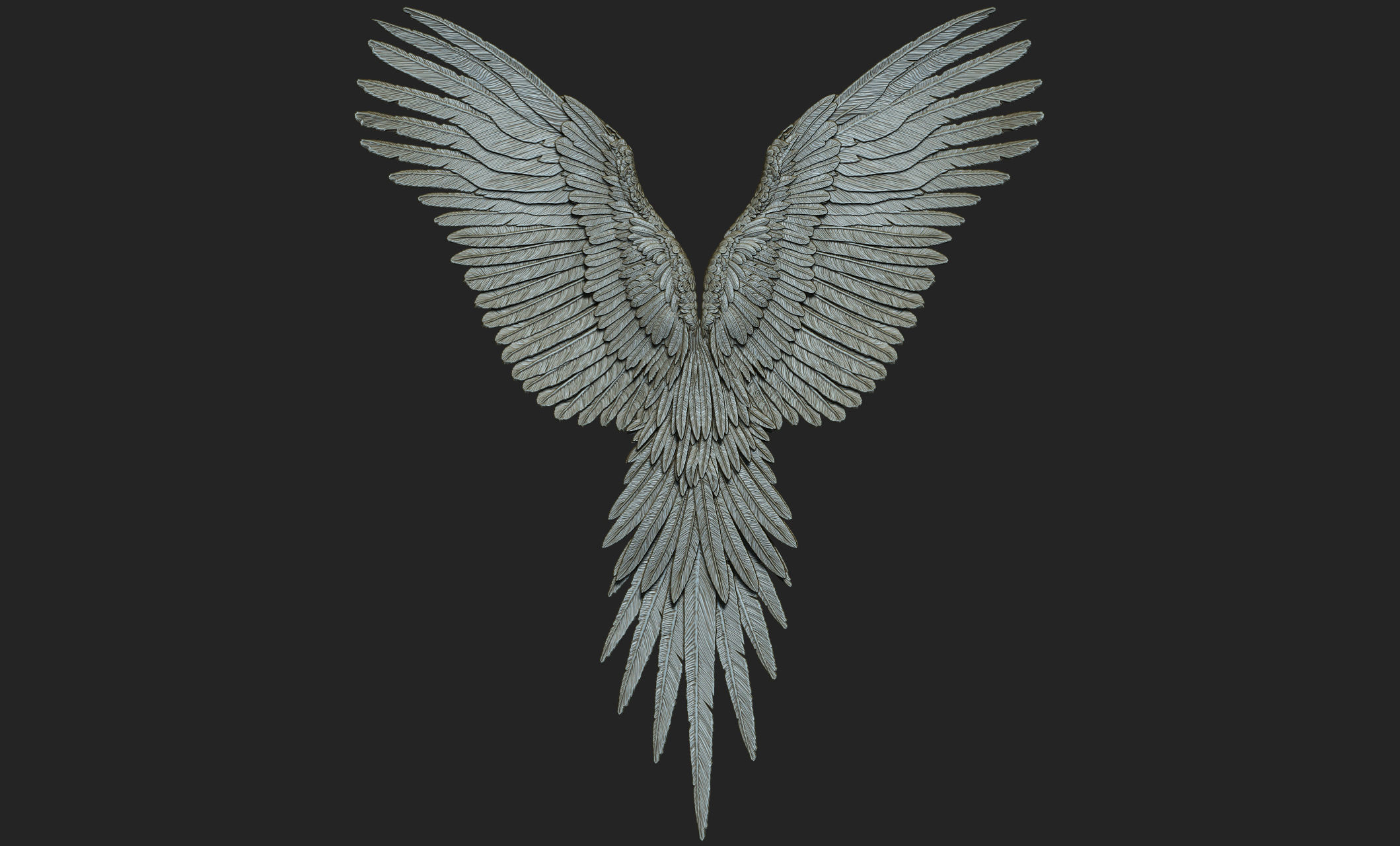 10 Wings 3D model_35