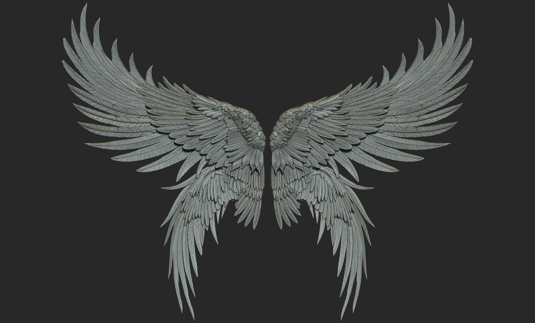10 Wings 3D model_45