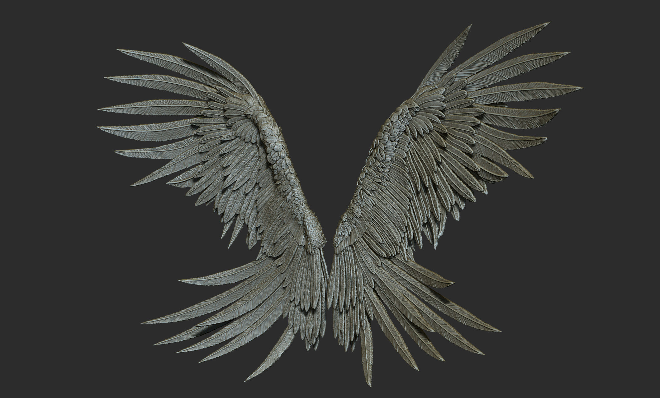 10 Wings 3D model_41