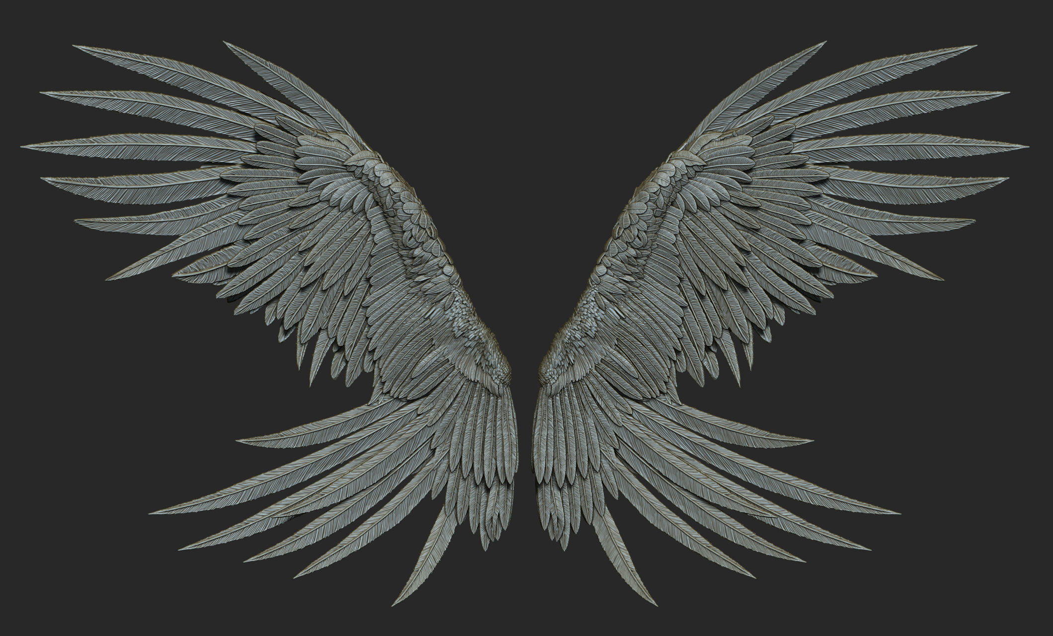 10 Wings 3D model_40