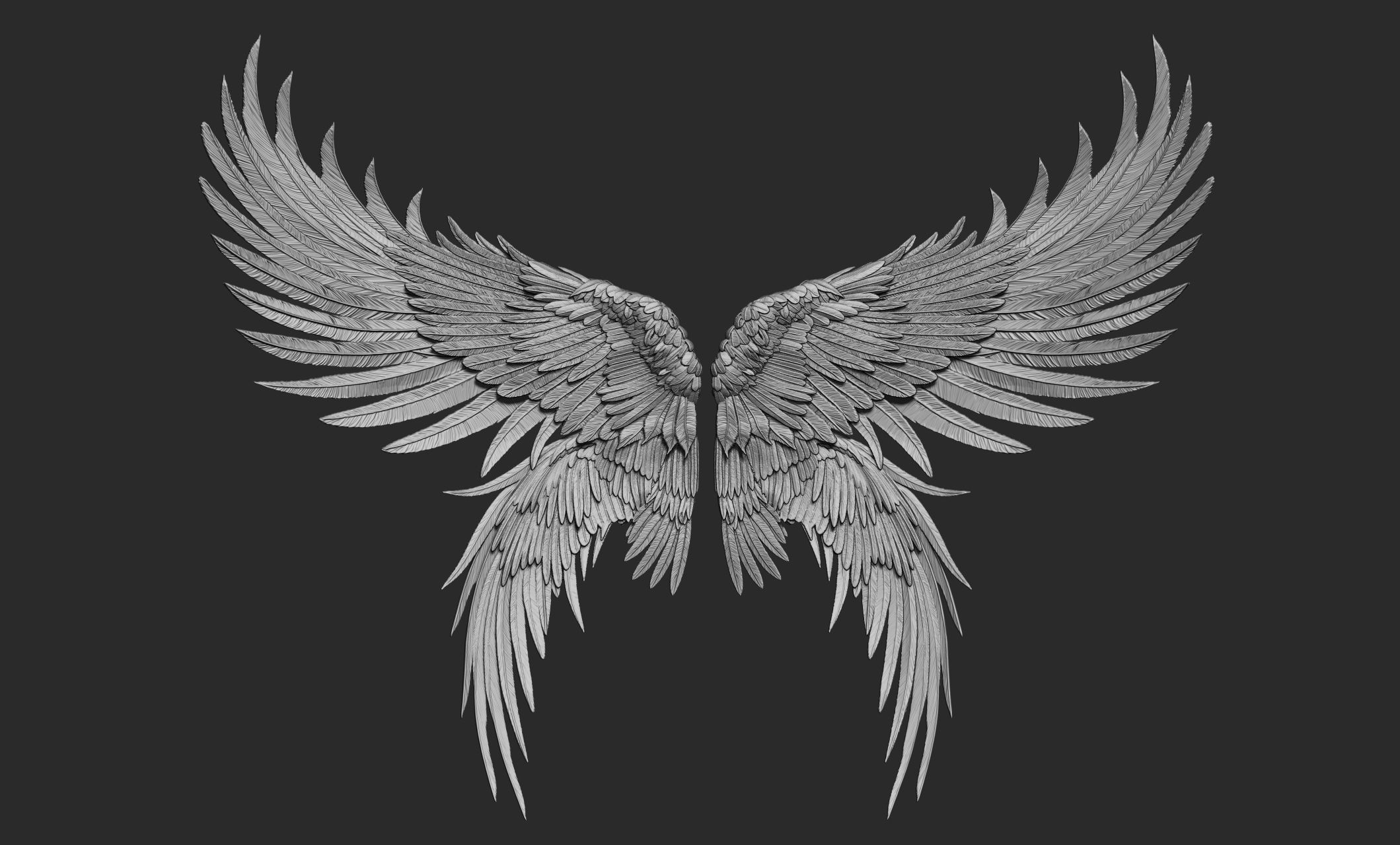 10 Wings 3D model_49