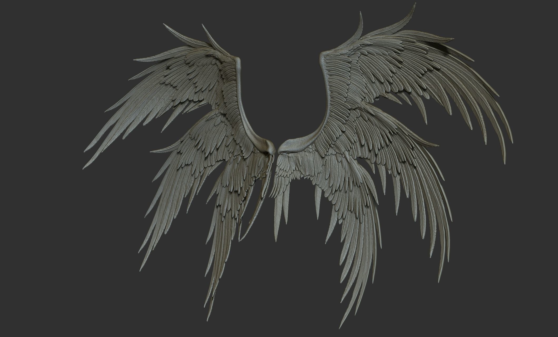10 Wings 3D model_21