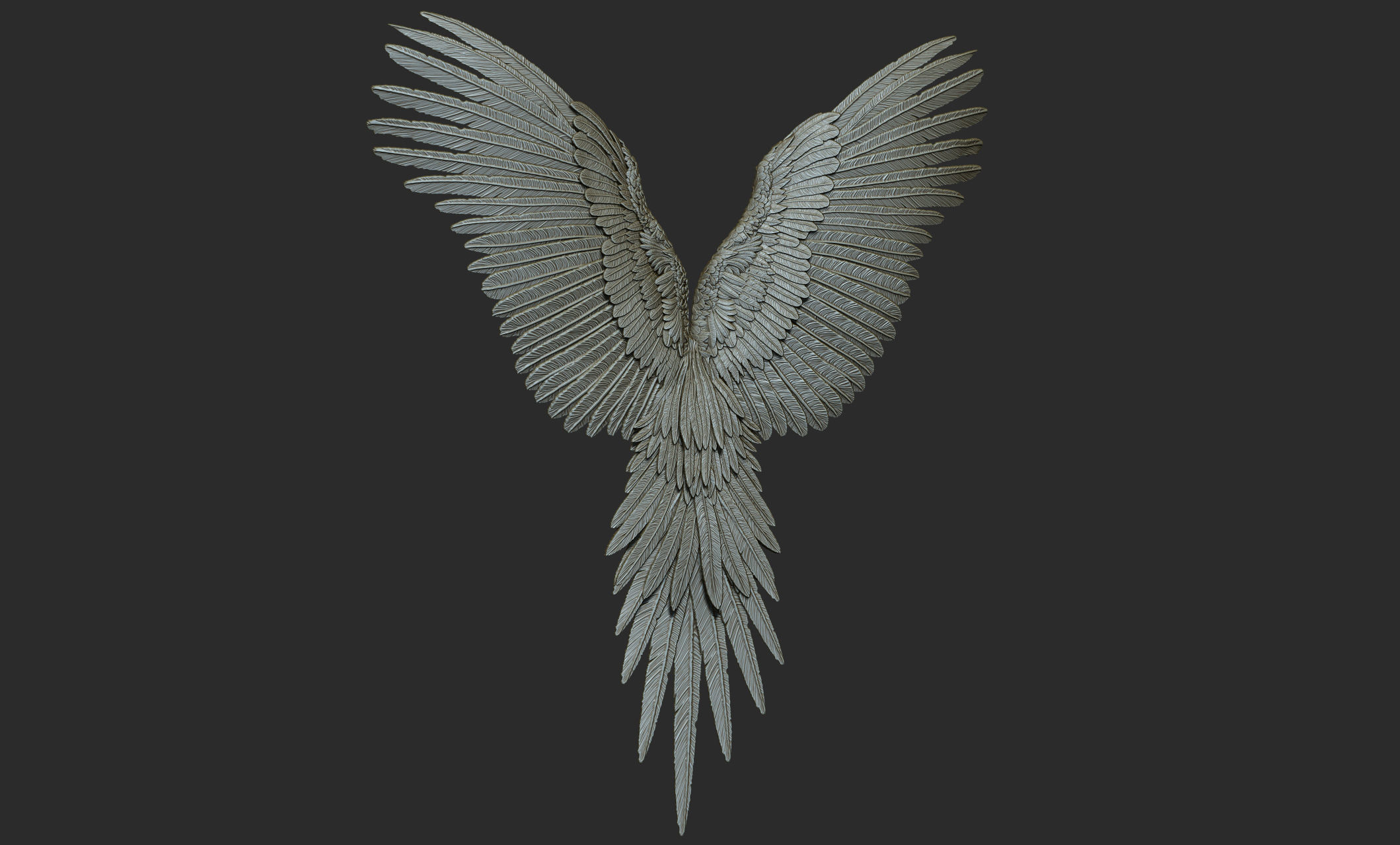 10 Wings 3D model_37