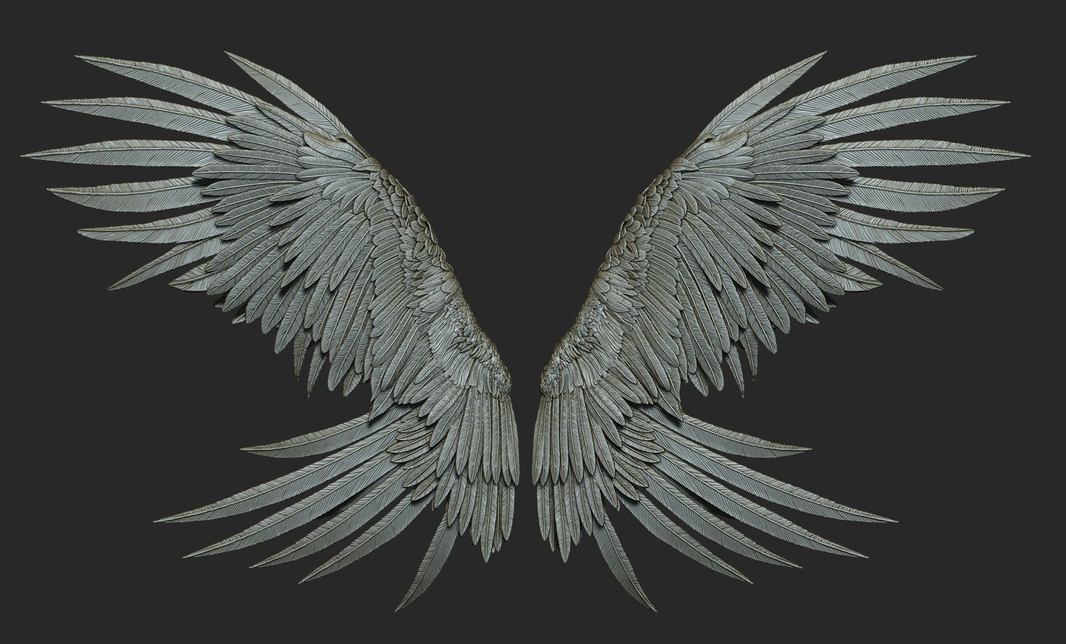 10 Wings 3D model_43