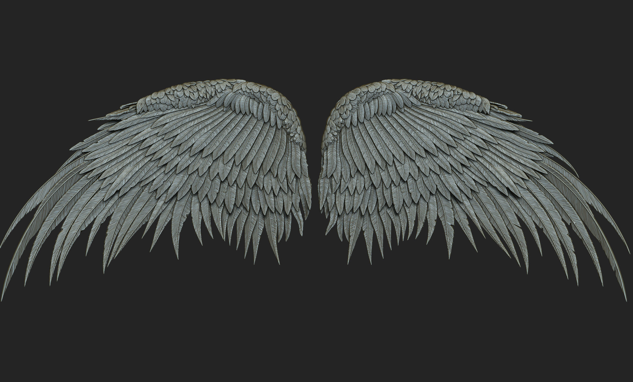 10 Wings 3D model_55