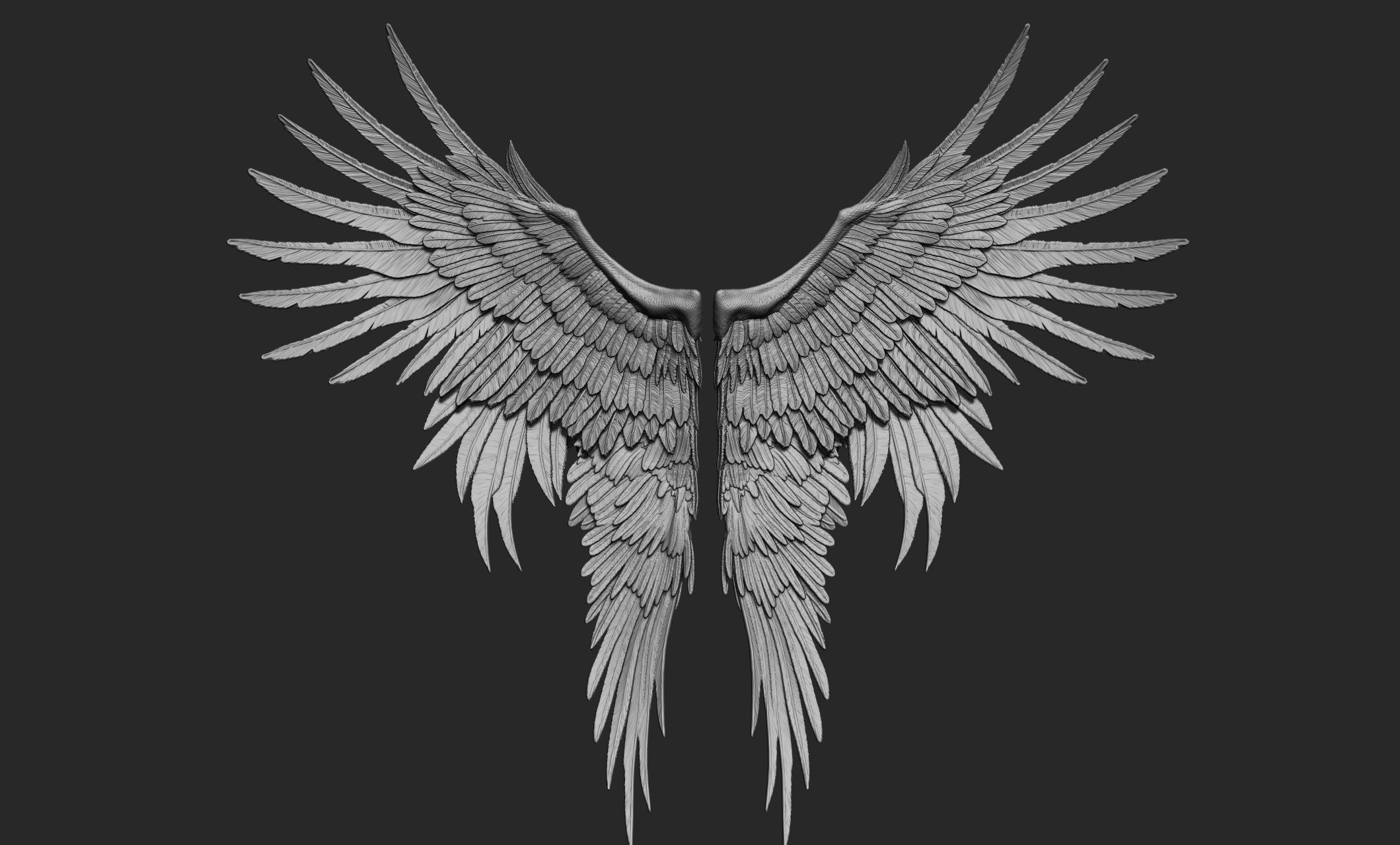 10 Wings 3D model_29