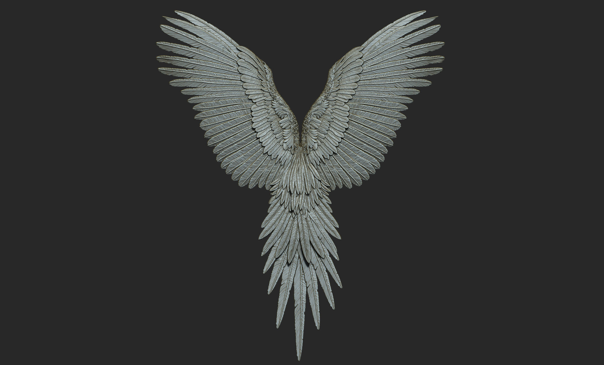 10 Wings 3D model_38