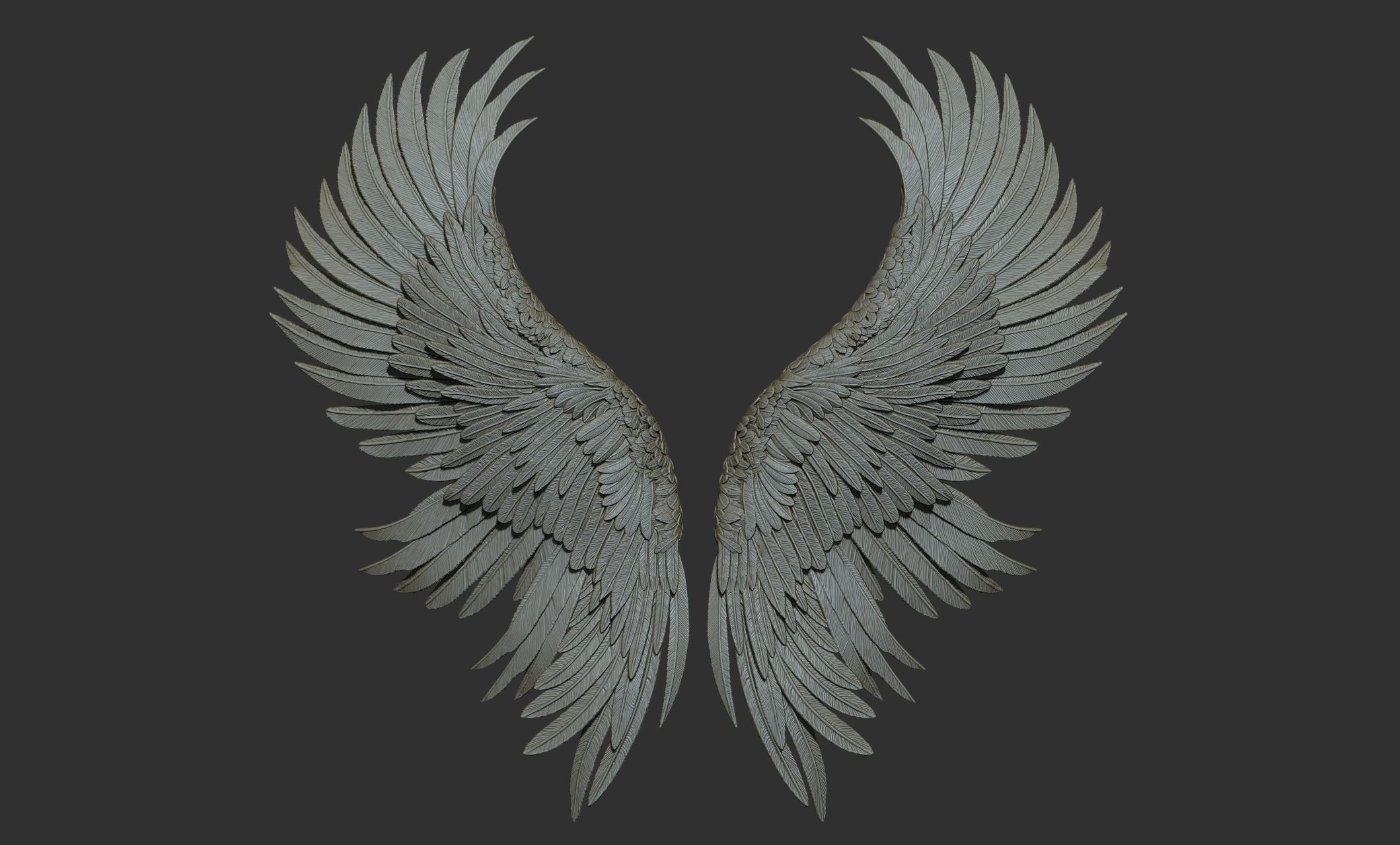 10 Wings 3D model_18