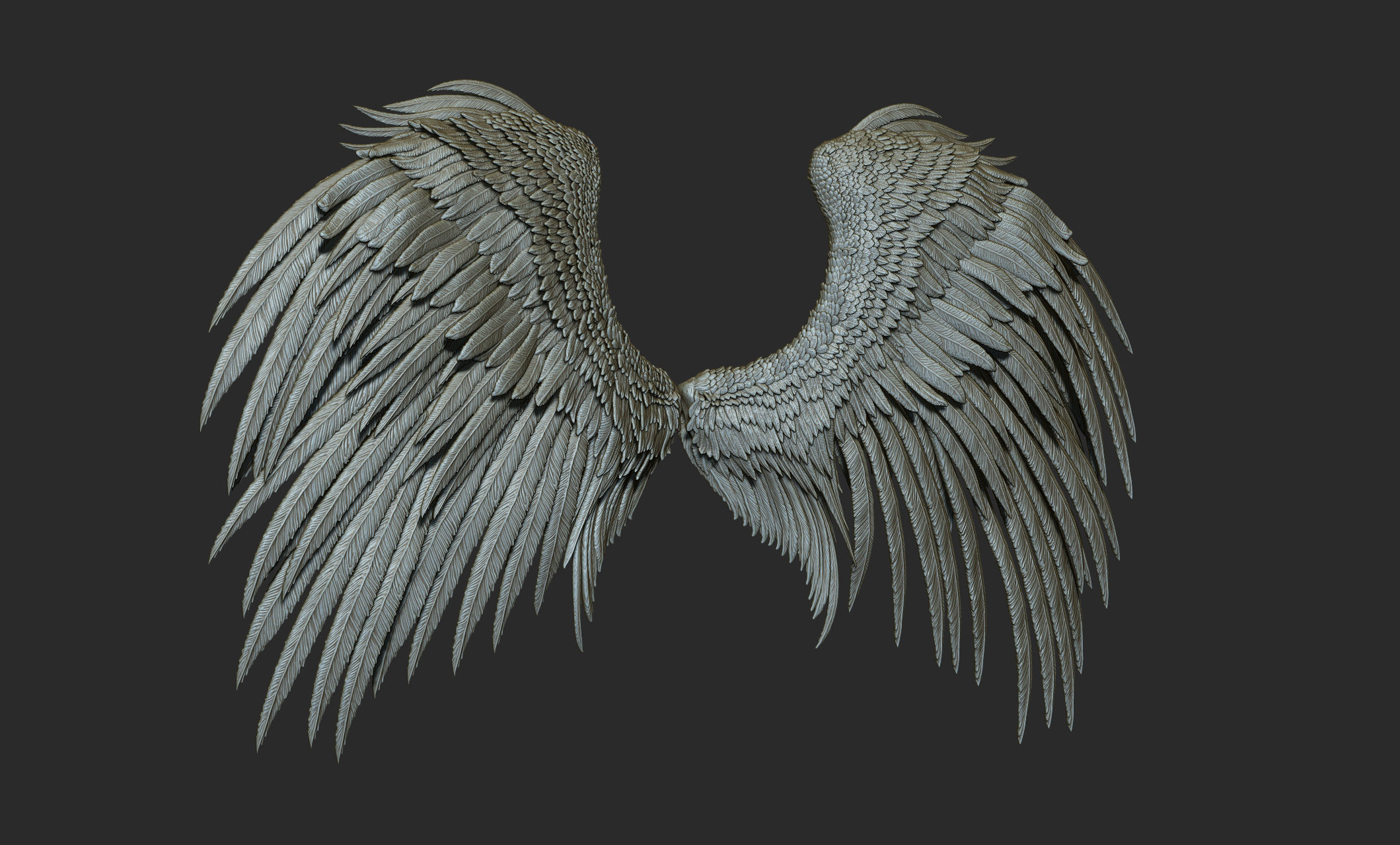 10 Wings 3D model_12