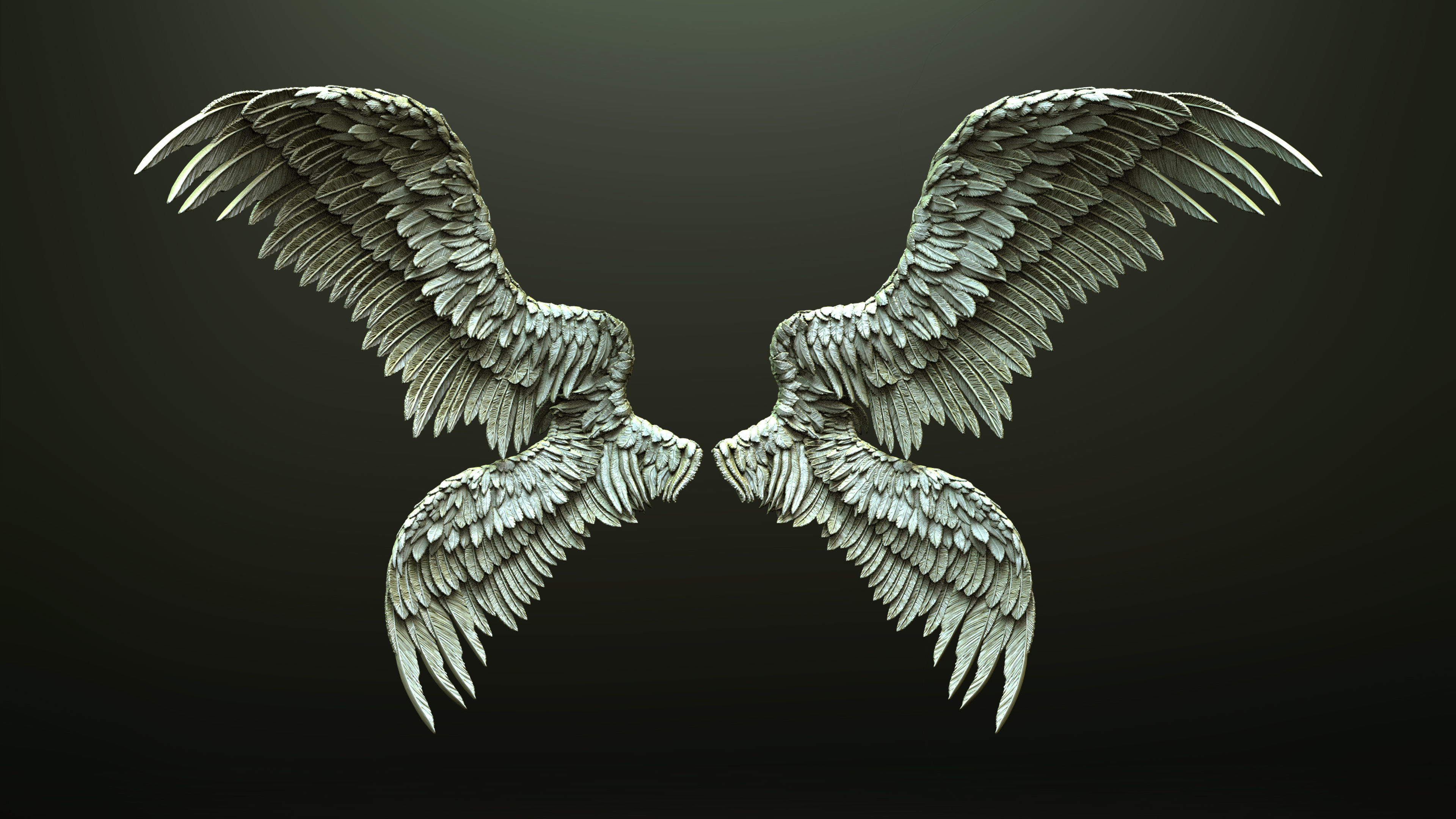 10 Wings 3D model_9