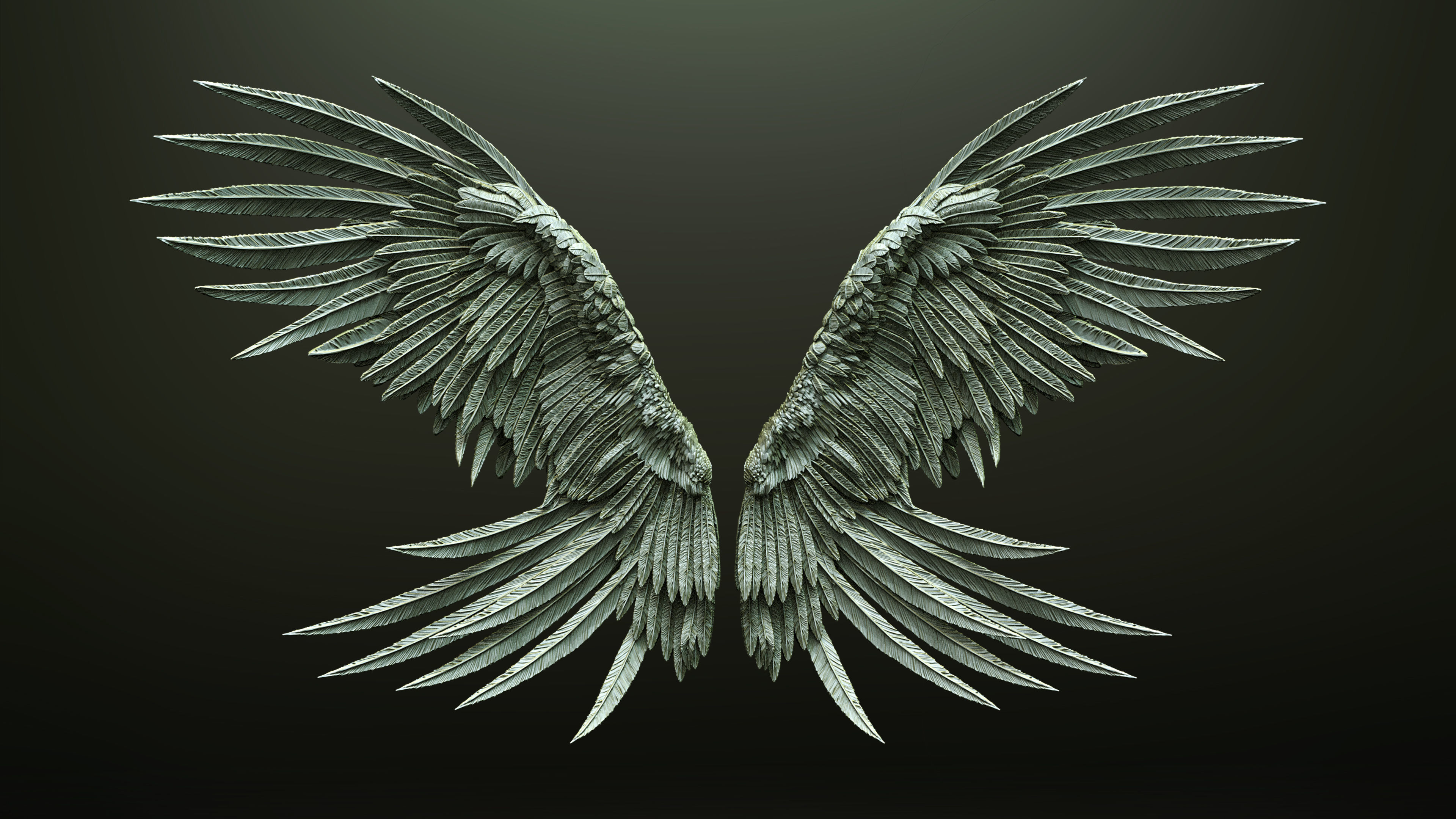 10 Wings 3D model_7