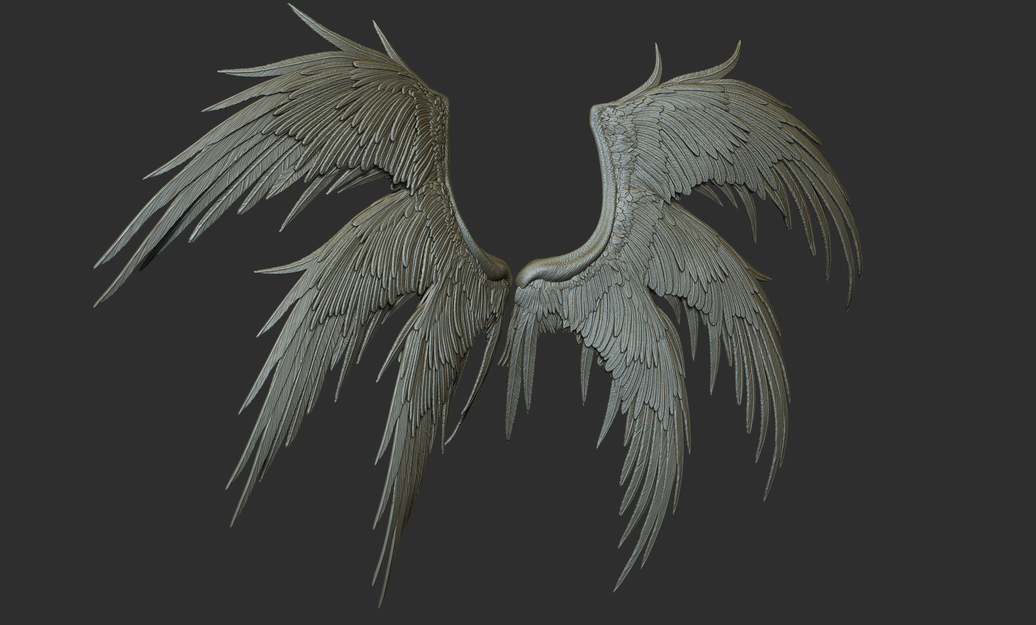 10 Wings 3D model_22