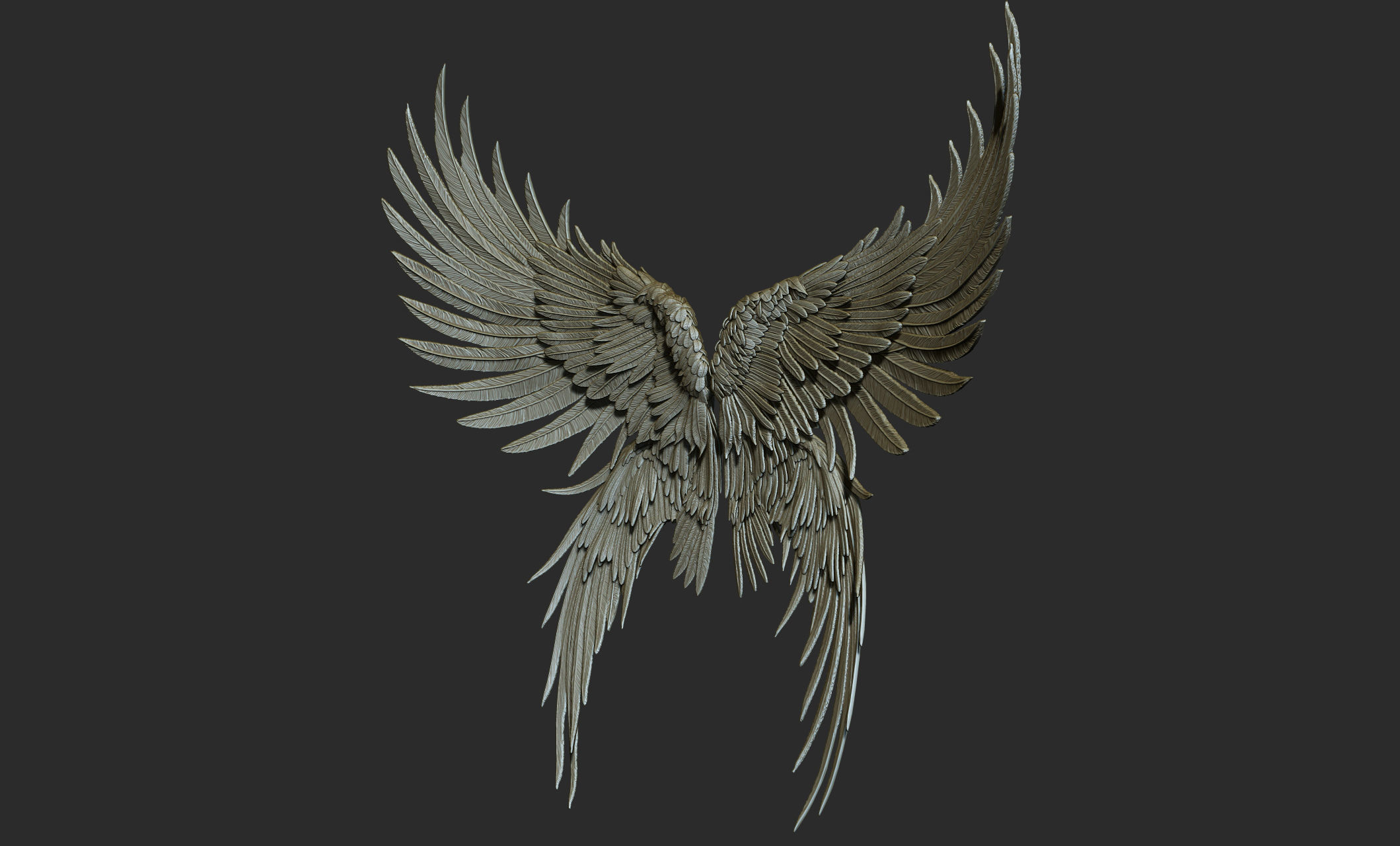 10 Wings 3D model_46