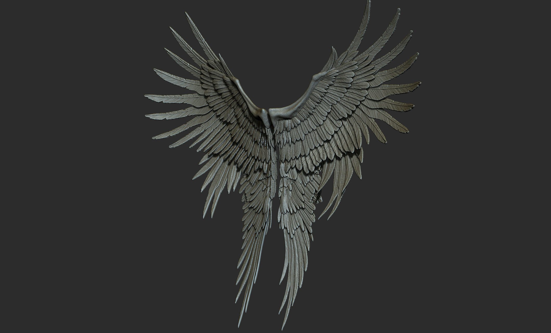 10 Wings 3D model_26