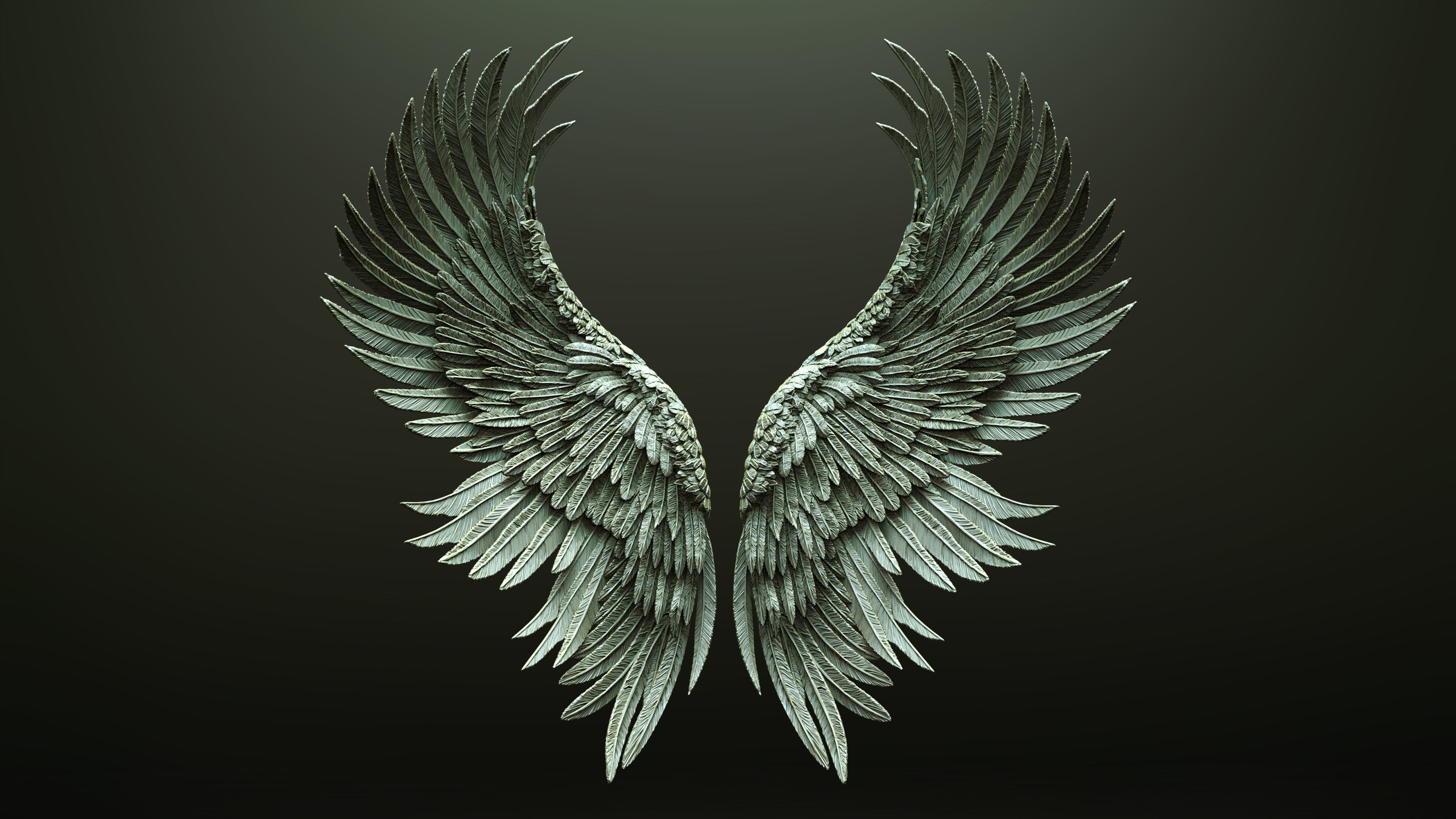 10 Wings 3D model_2