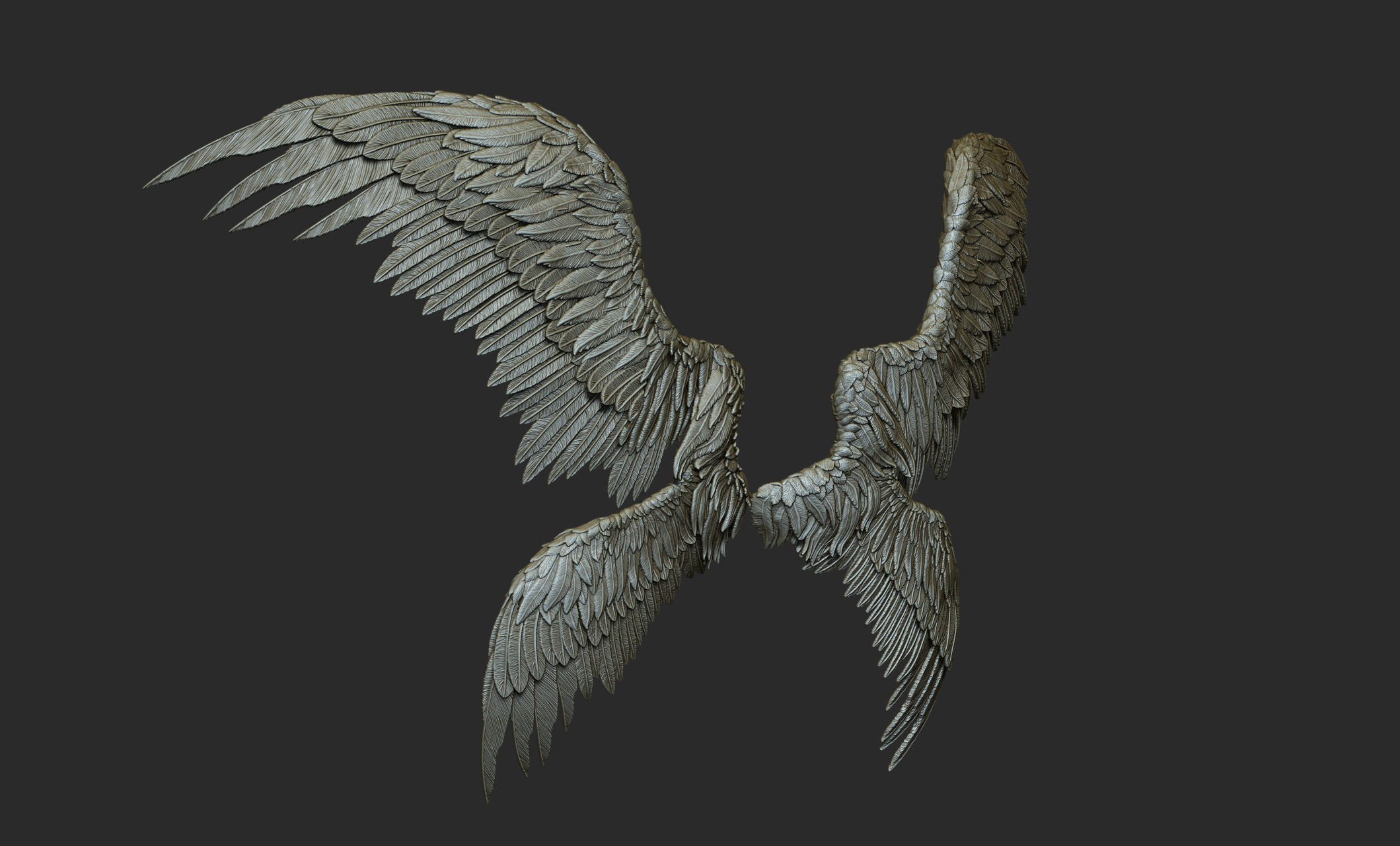 10 Wings 3D model_52